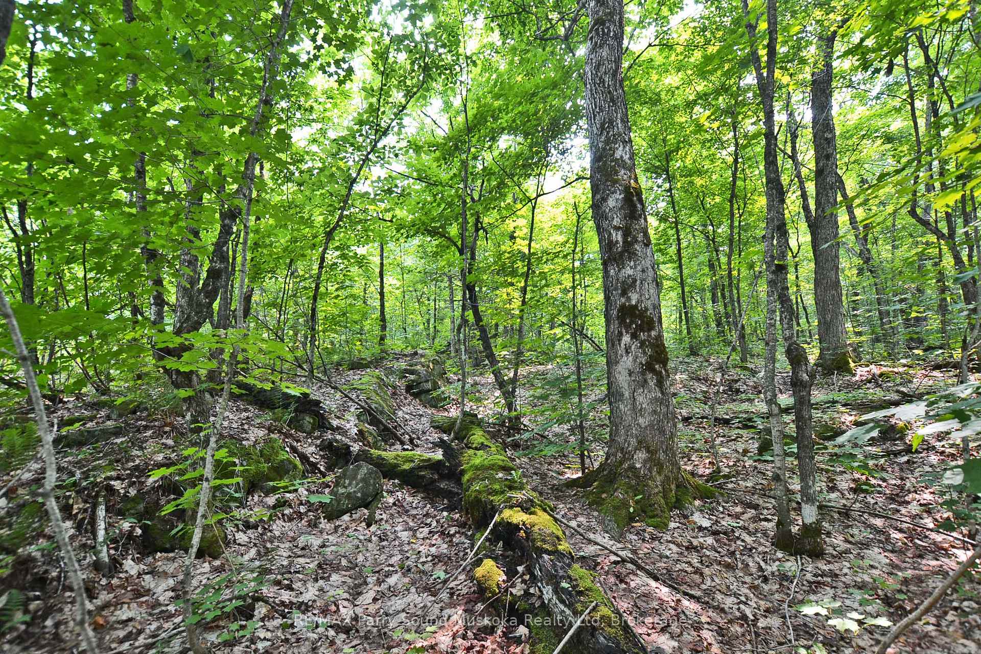 Photo 13 of Unit Part 1, Lyndsey Lane, McKellar — HOMEH