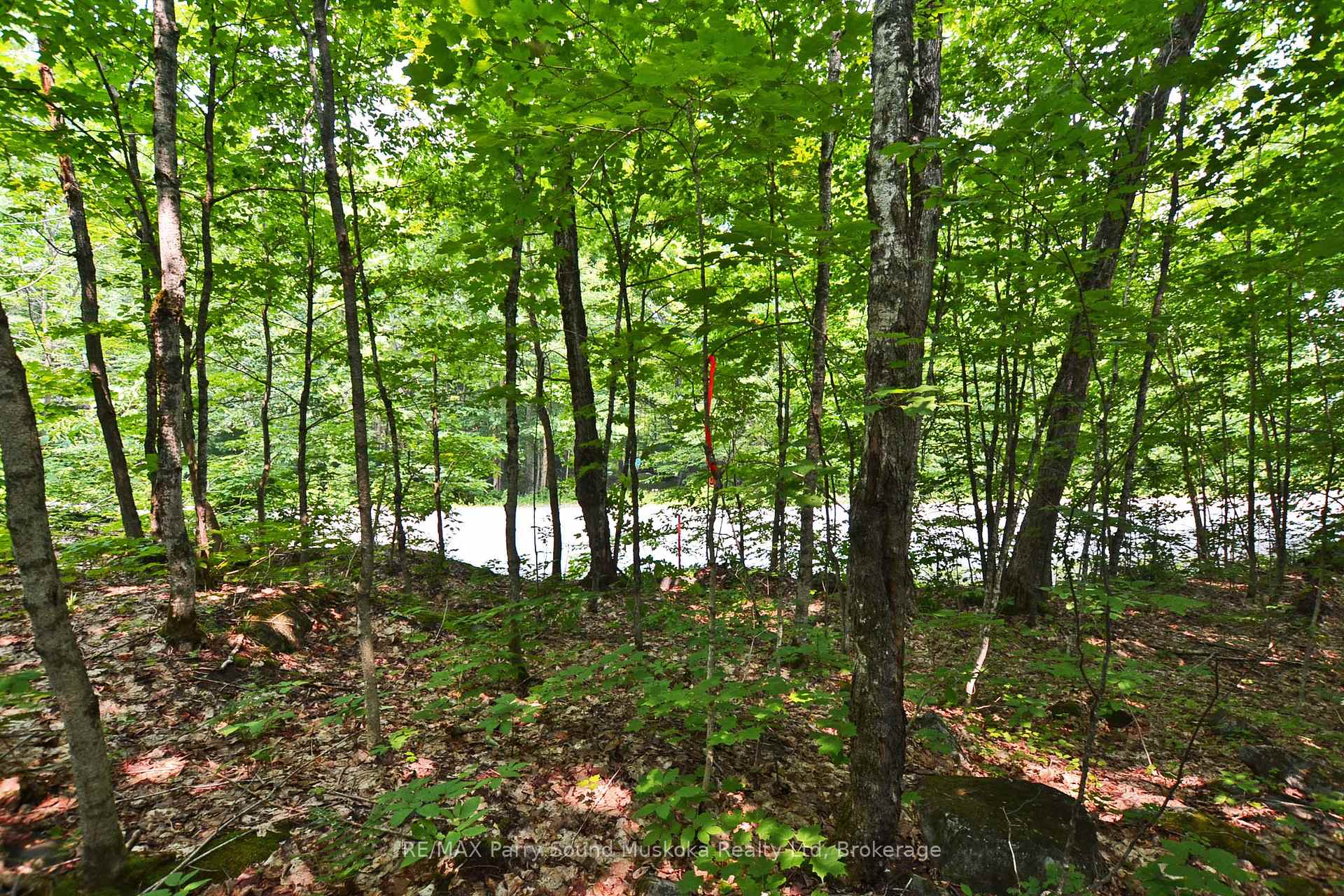 Photo 16 of Unit Part 1, Lyndsey Lane, McKellar — HOMEH