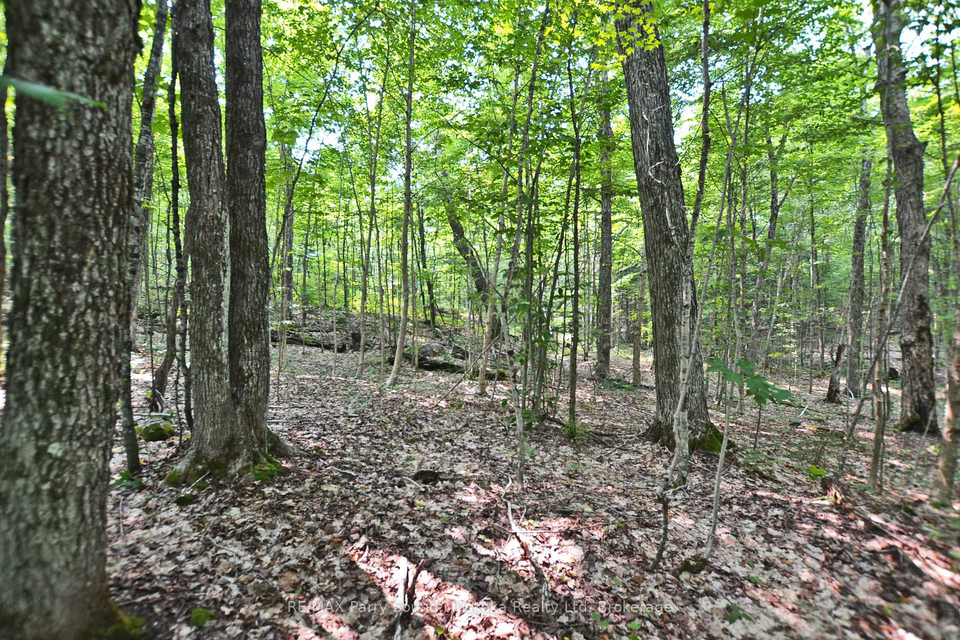 Photo 19 of Unit Part 1, Lyndsey Lane, McKellar — HOMEH