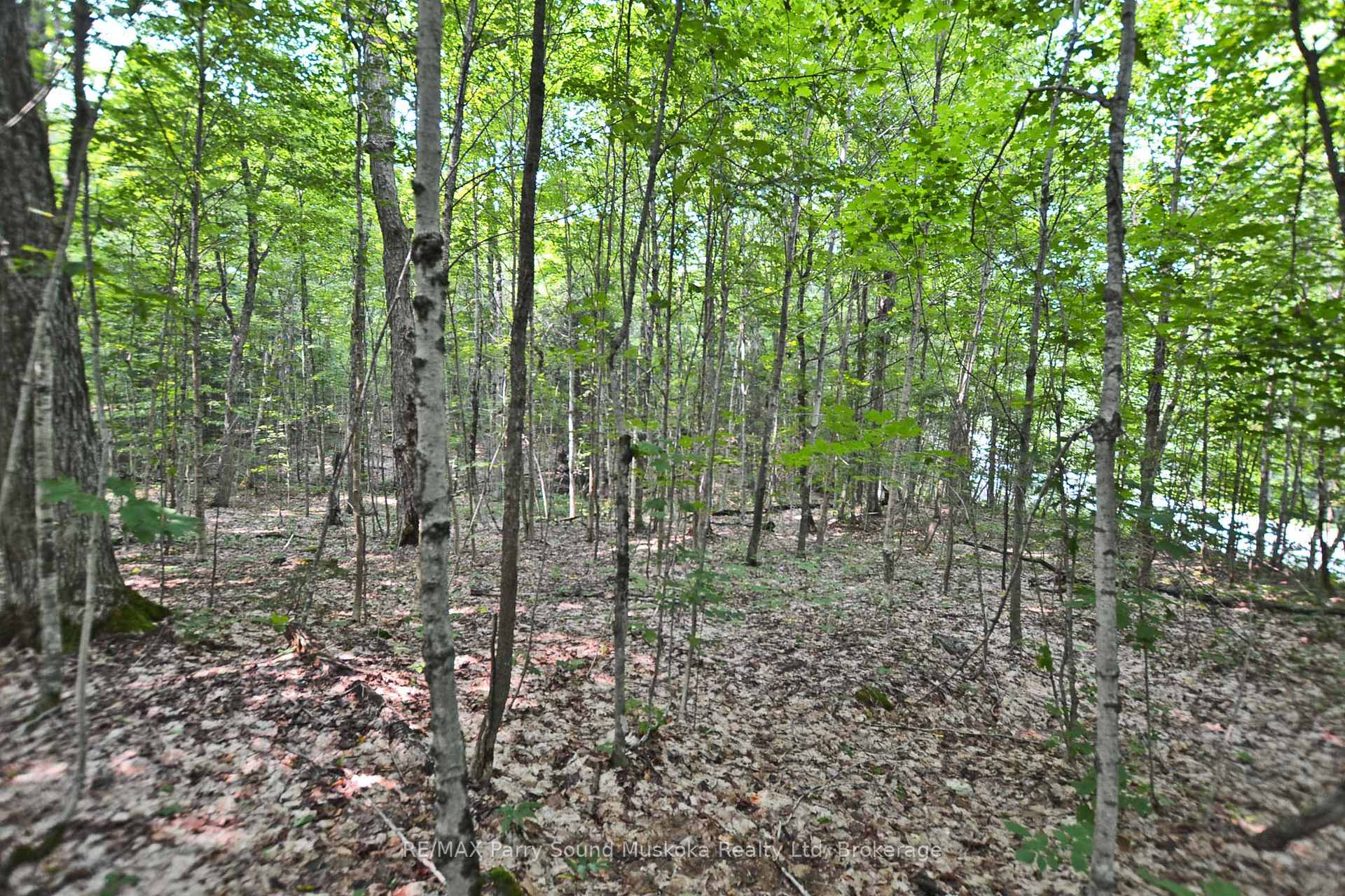 Photo 20 of Unit Part 1, Lyndsey Lane, McKellar — HOMEH