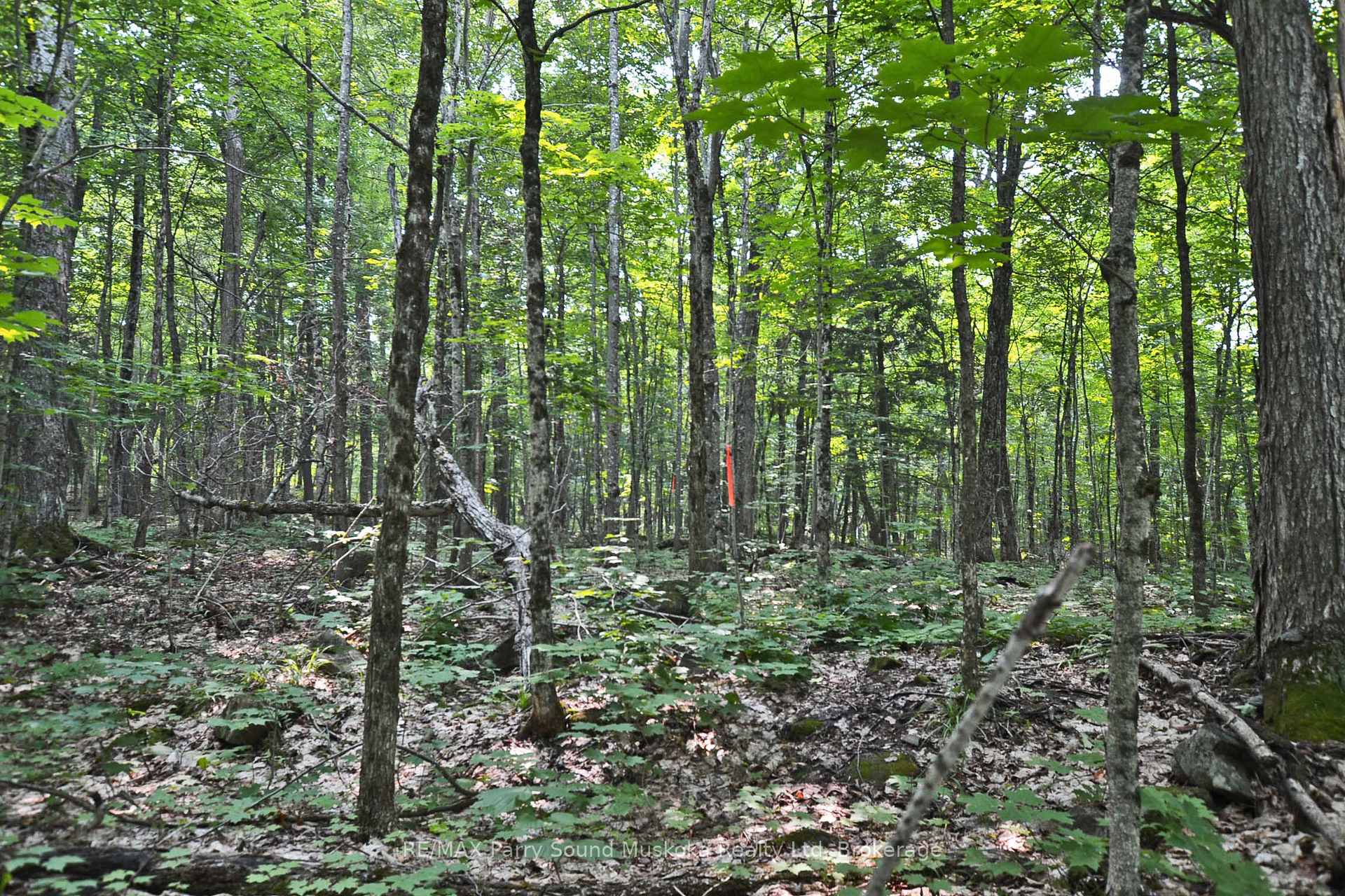 Photo 12 of Unit Part 2, Lyndsey Lane, McKellar — HOMEH