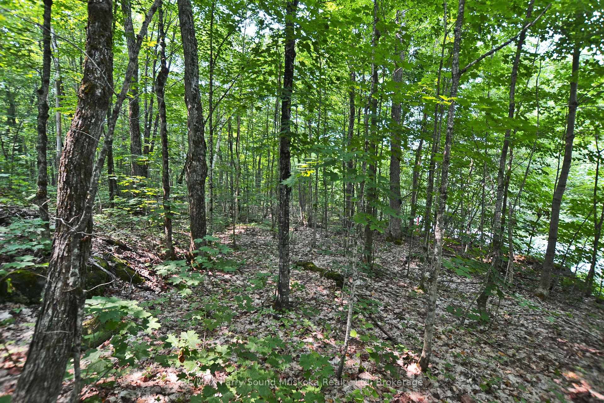 Photo 14 of Unit Part 2, Lyndsey Lane, McKellar — HOMEH