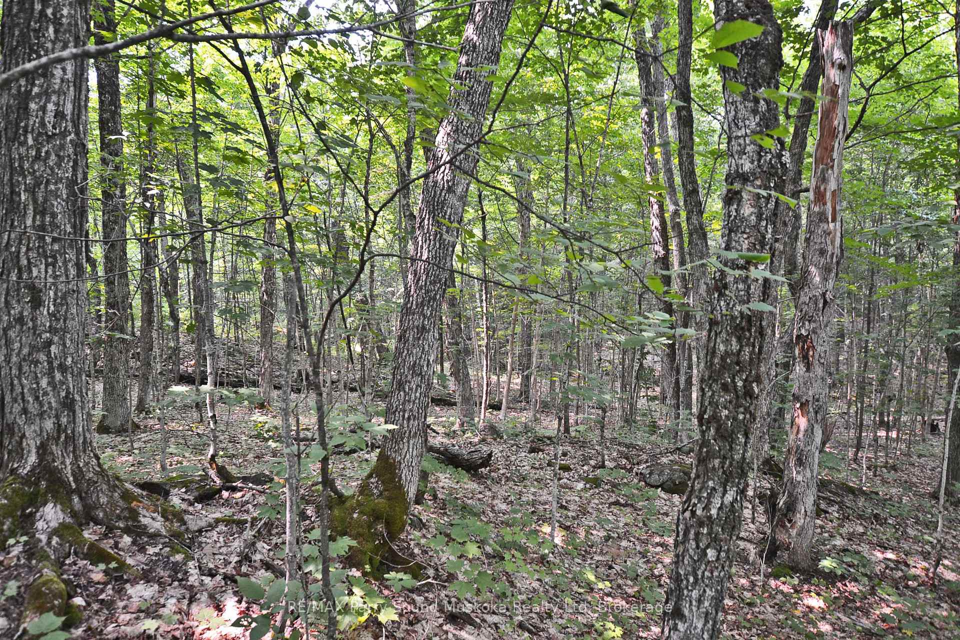 Photo 17 of Unit Part 2, Lyndsey Lane, McKellar — HOMEH