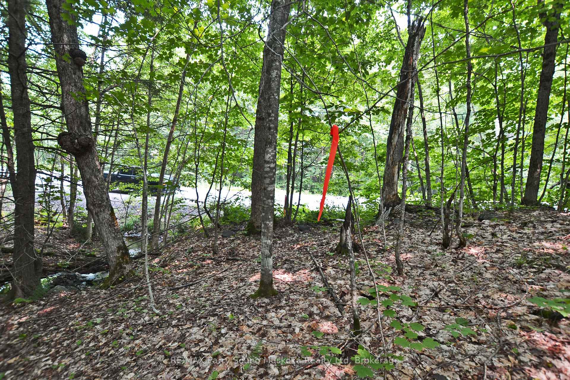 Photo 20 of Unit Part 2, Lyndsey Lane, McKellar — HOMEH