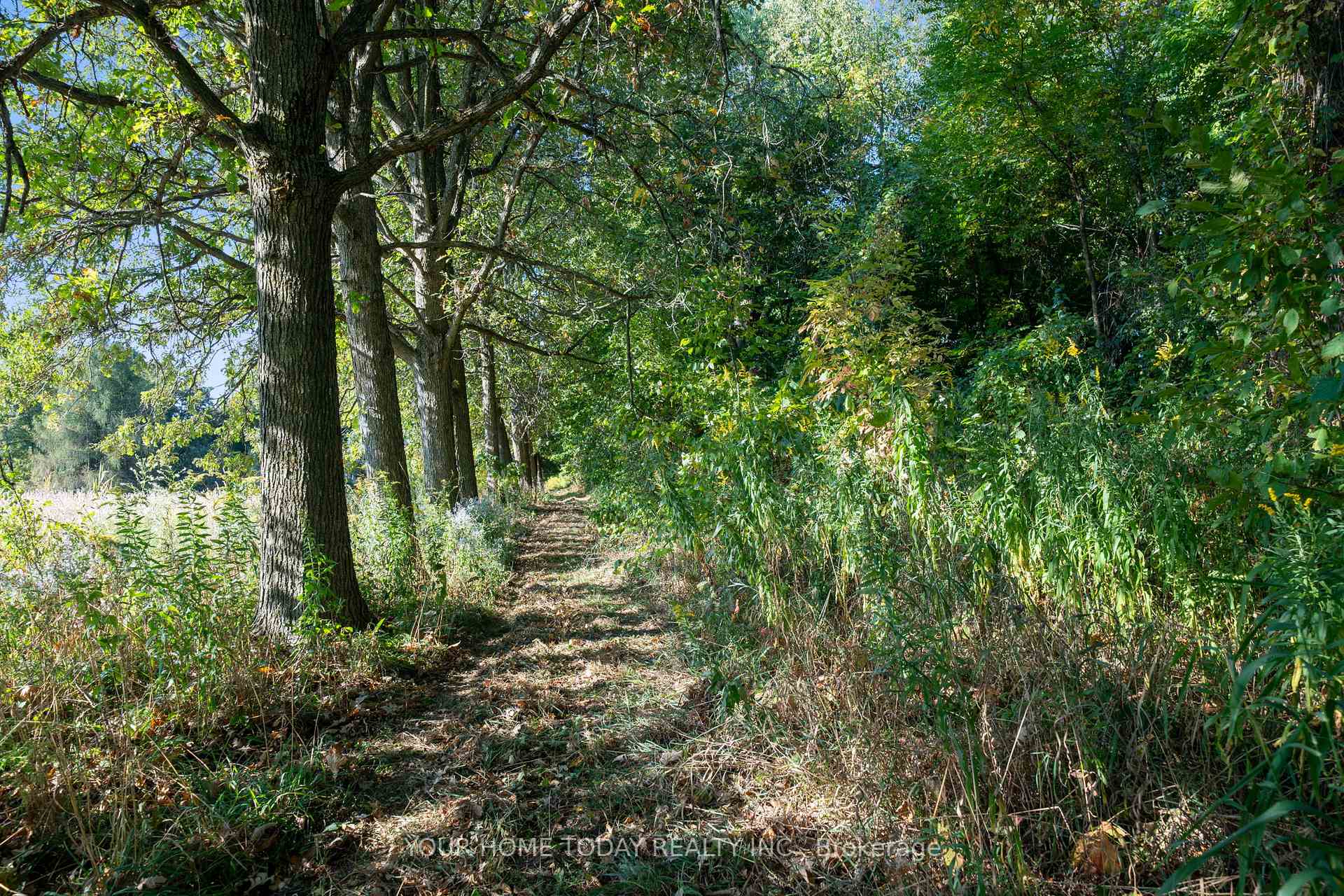 Photo 38 of 12609 Fifth Line, Halton Hills, Rural Halton Hills — HOMEH