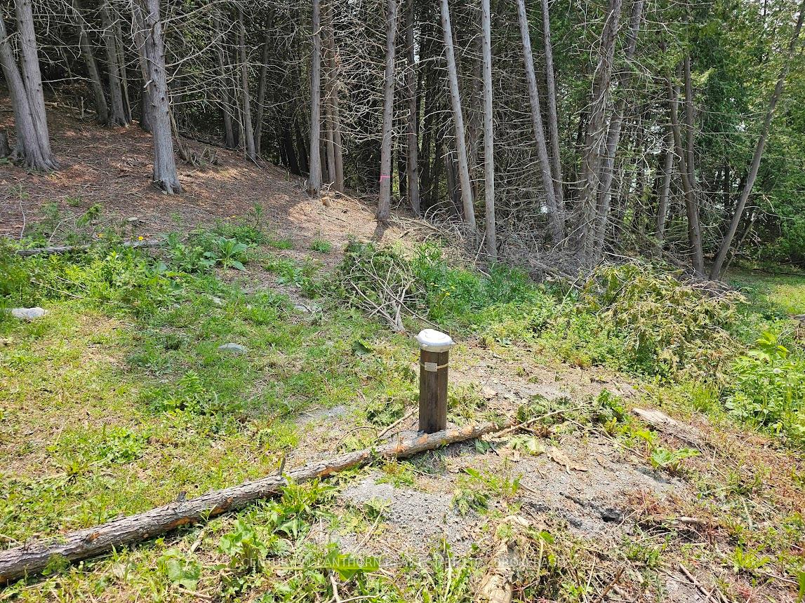 Photo 4 of 0000 Cedarstone Road W, Stone Mills, Stone Mills — HOMEH