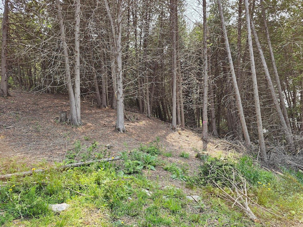 Photo 5 of 0000 Cedarstone Road W, Stone Mills, Stone Mills — HOMEH
