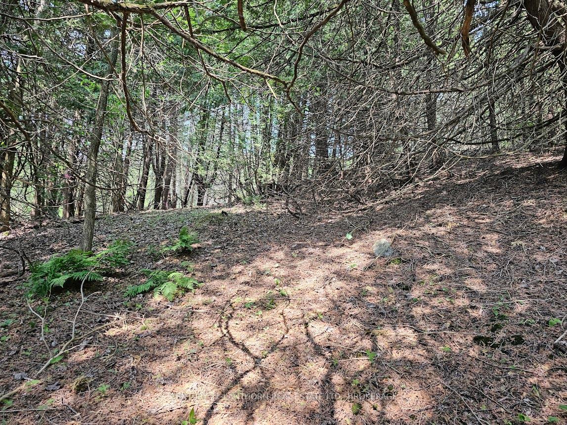Photo 8 of 0000 Cedarstone Road W, Stone Mills, Stone Mills — HOMEH