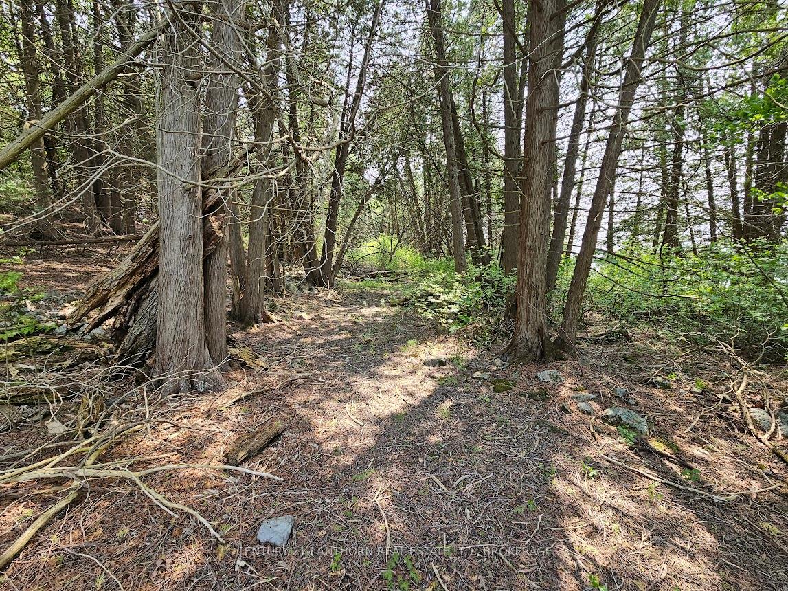 Photo 10 of 0000 Cedarstone Road W, Stone Mills, Stone Mills — HOMEH