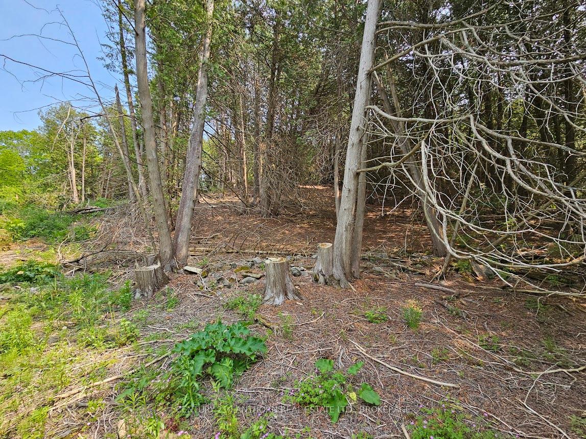 Photo 11 of 0000 Cedarstone Road W, Stone Mills, Stone Mills — HOMEH