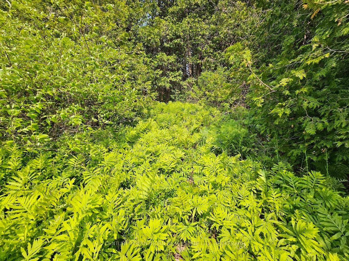 Photo 16 of 0000 Cedarstone Road W, Stone Mills, Stone Mills — HOMEH