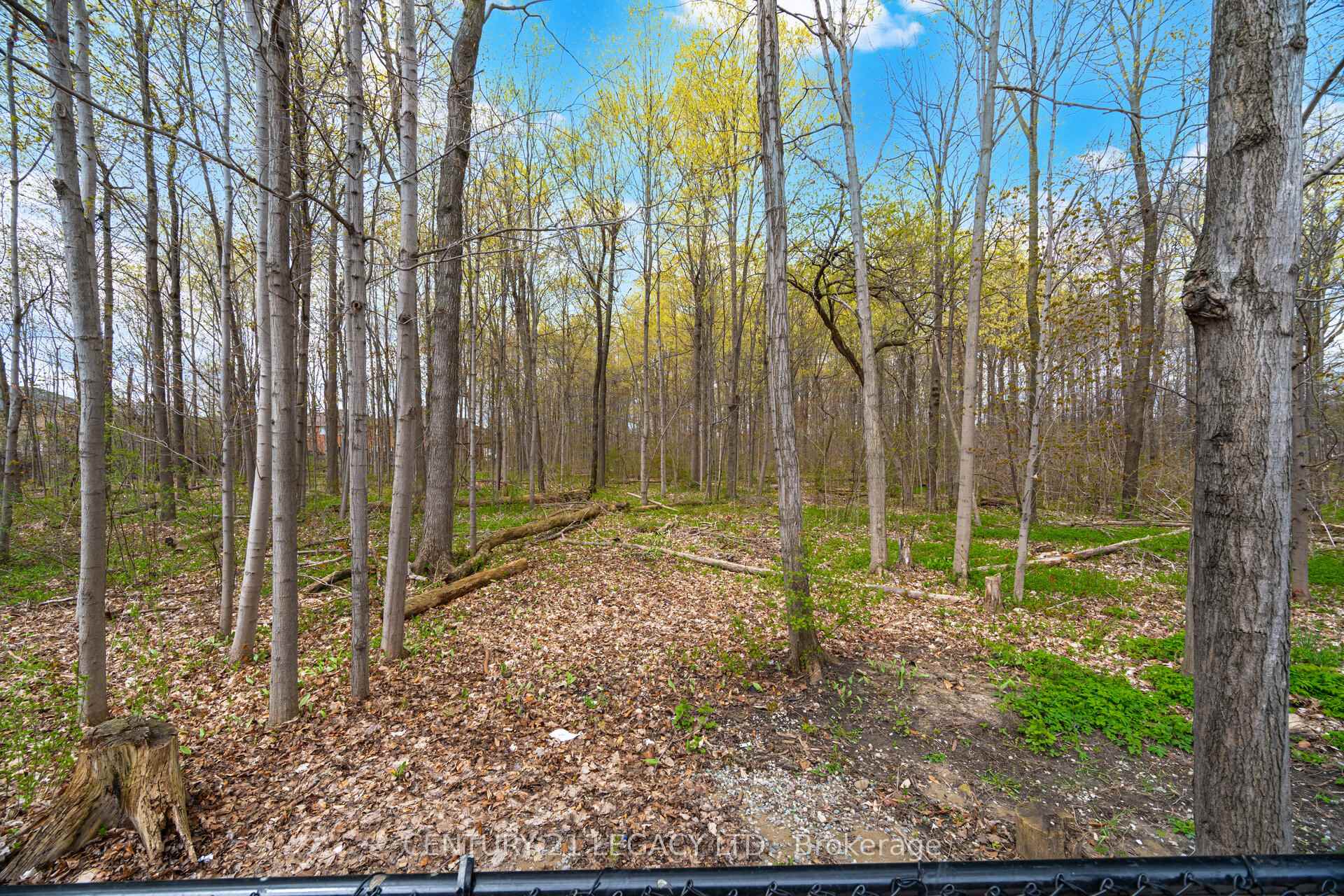 Photo 47 of 28 Wildfire Road, Vaughan, East Woodbridge — HOMEH