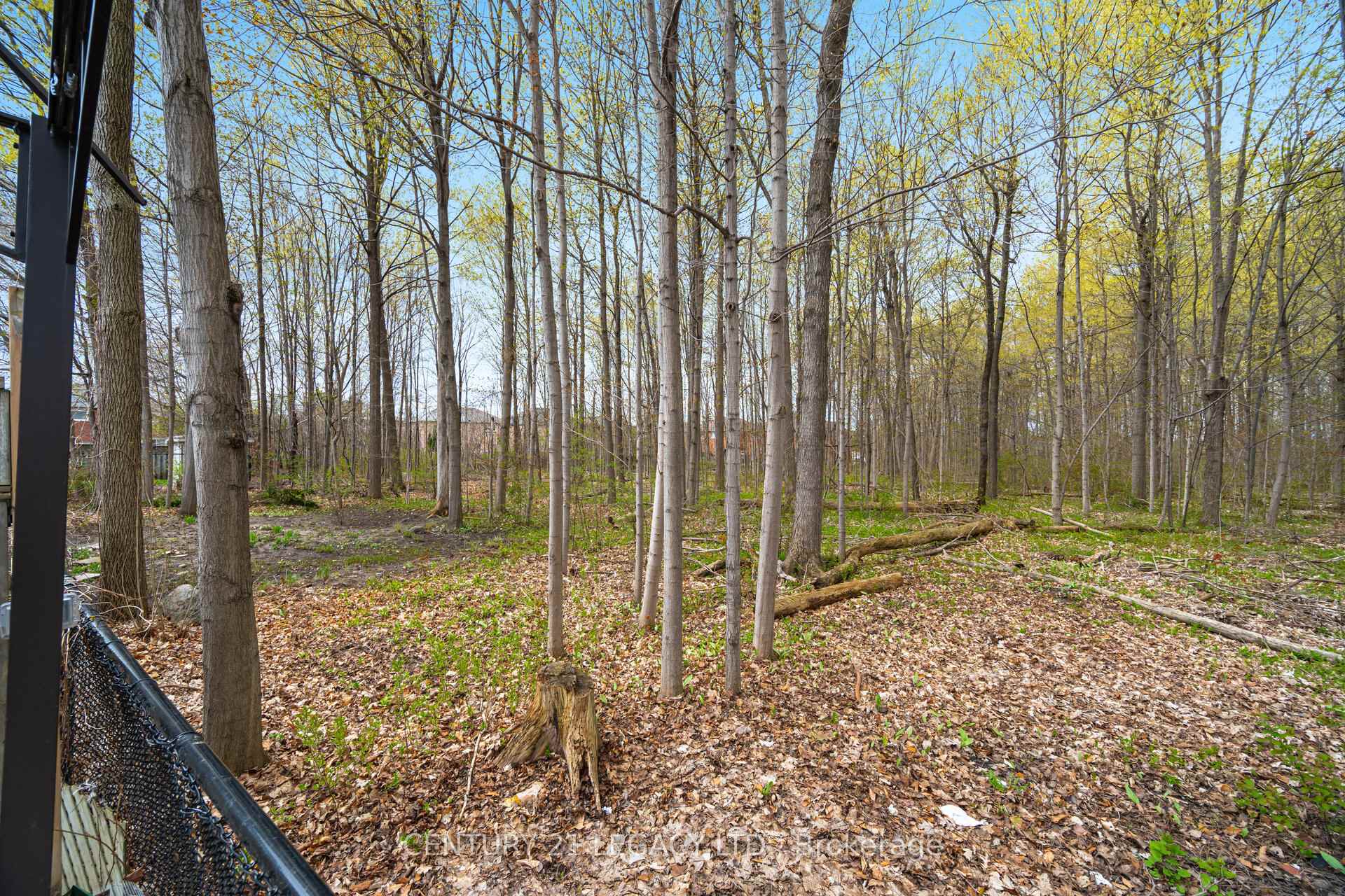 Photo 48 of 28 Wildfire Road, Vaughan, East Woodbridge — HOMEH