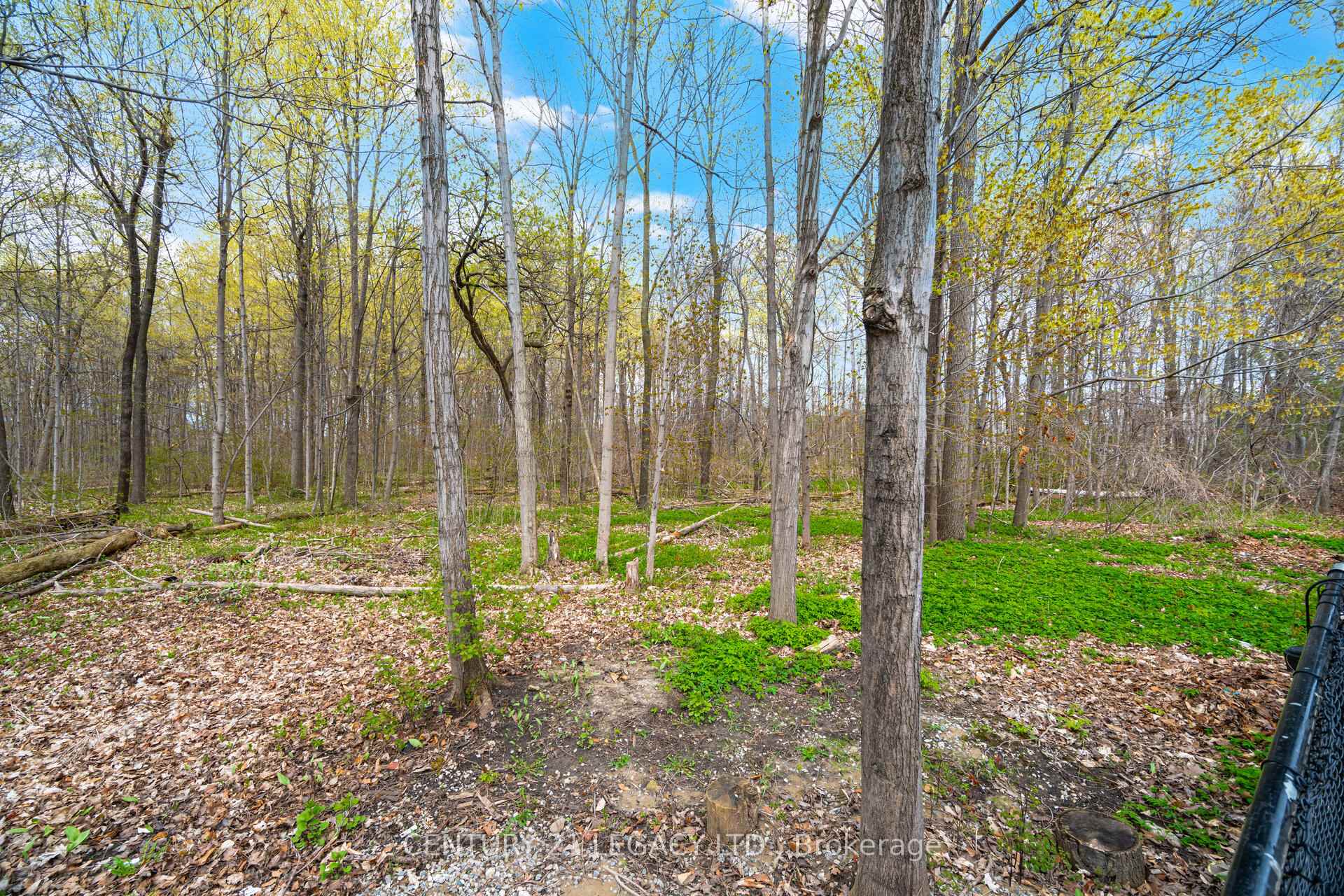 Photo 49 of 28 Wildfire Road, Vaughan, East Woodbridge — HOMEH