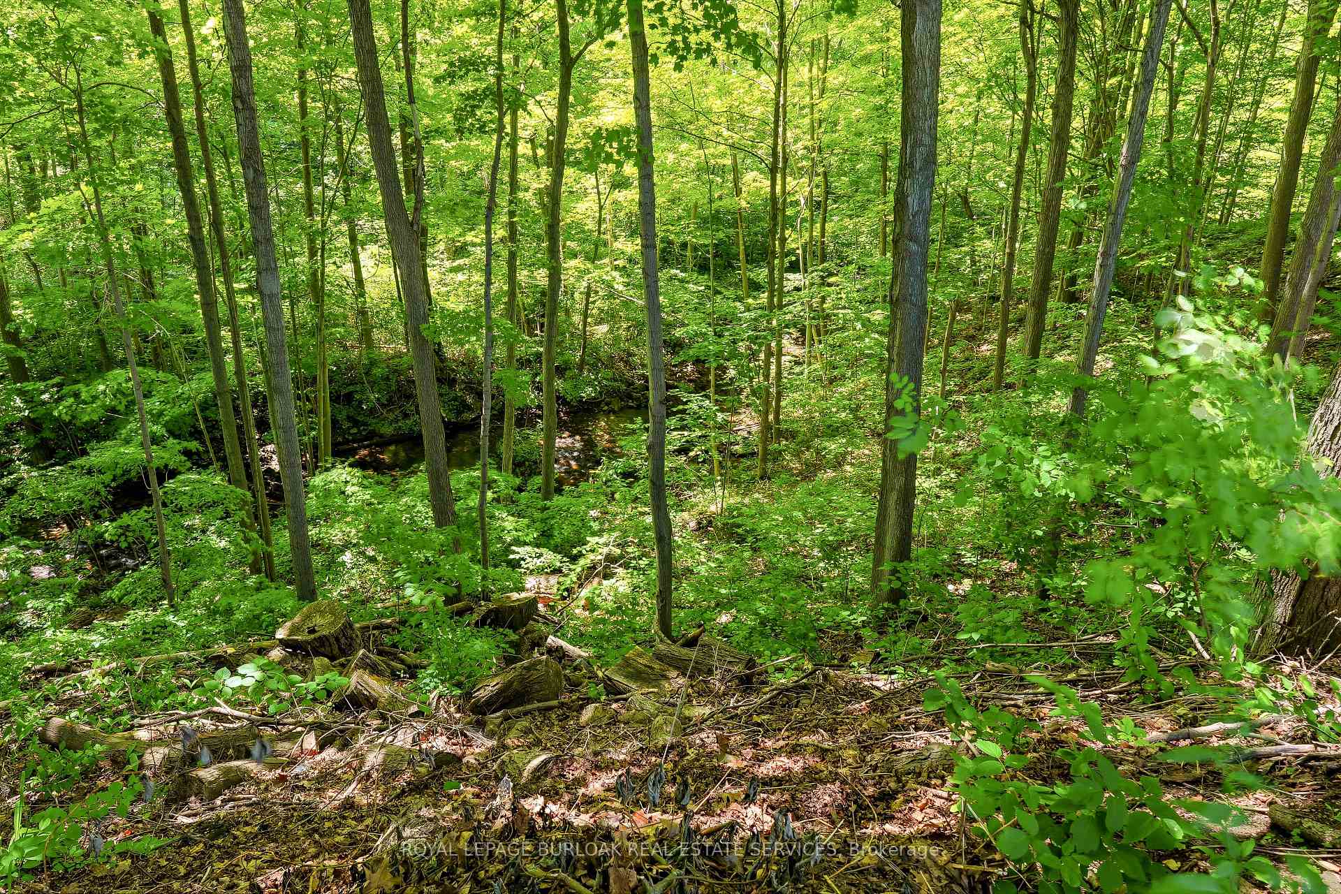 Photo 42 of 2150 East Street, Burlington, Rural Burlington — HOMEH