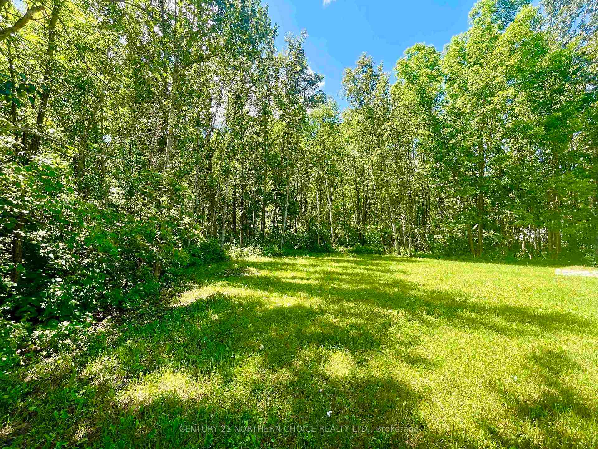 Photo 8 of 297 Cemetery Road, Kenora Remote Area, Dinorwic — HOMEH