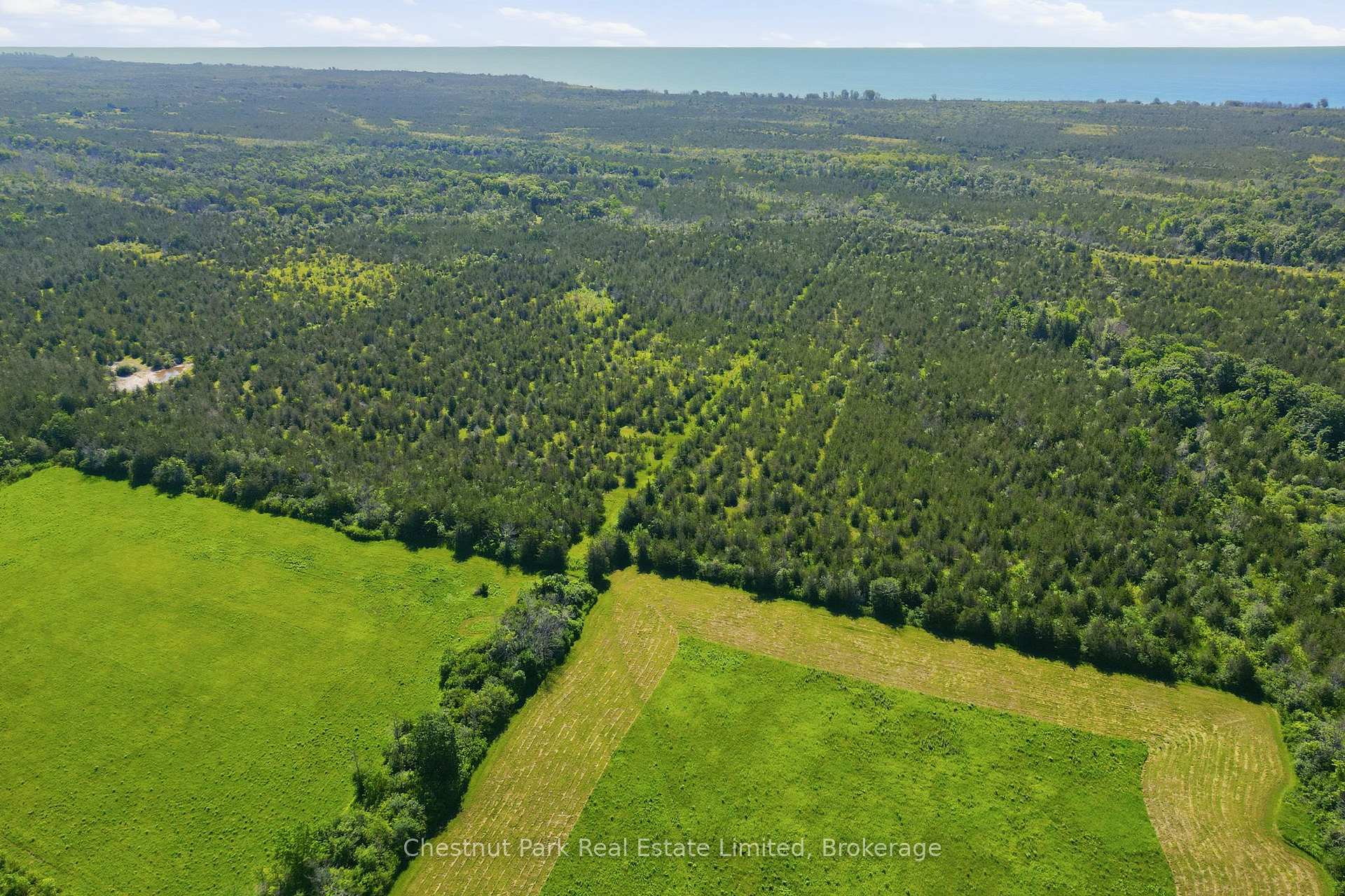 Photo 14 of 647 Helmer Road, Prince Edward County, South Marysburg Ward — HOMEH