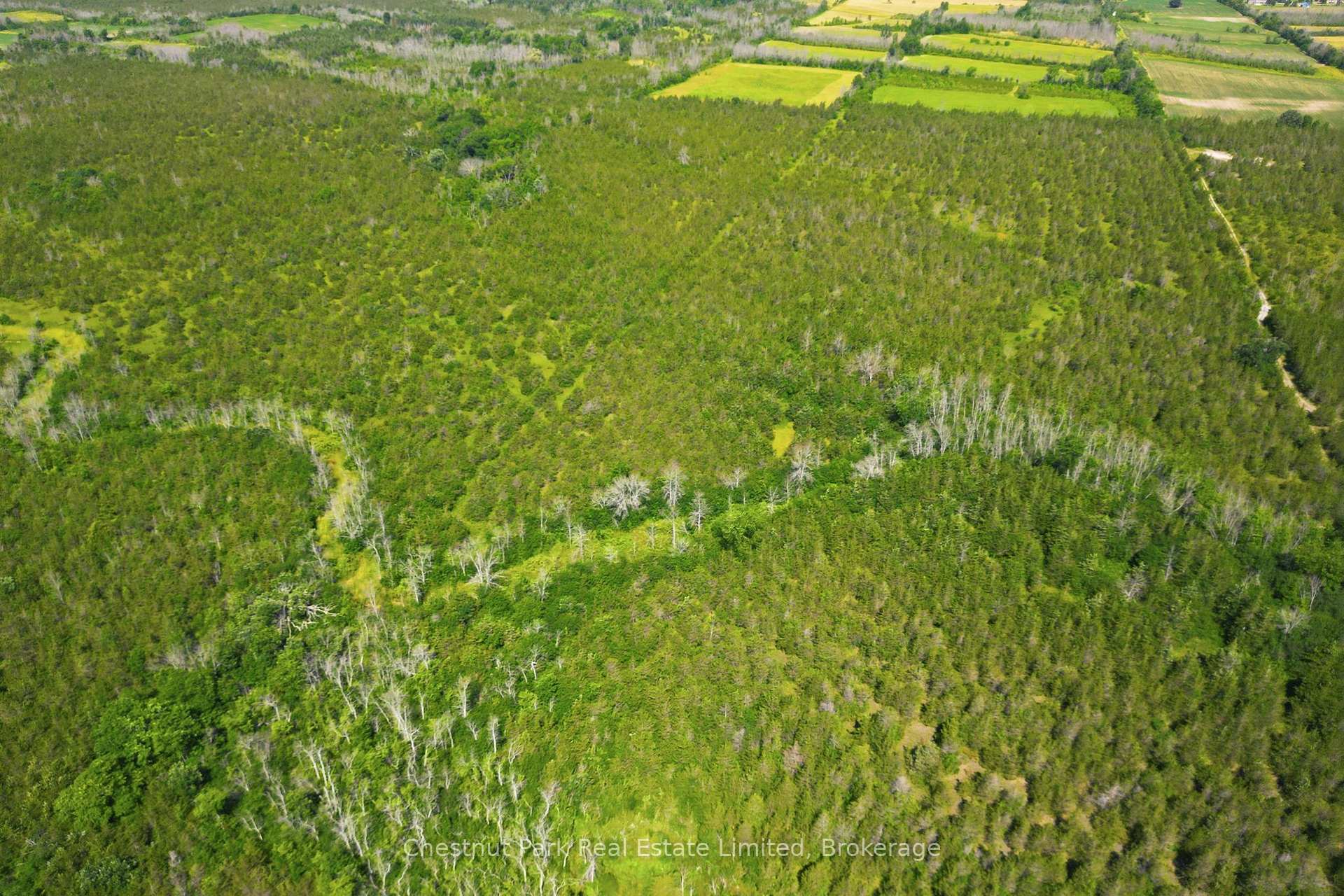 Photo 32 of 647 Helmer Road, Prince Edward County, South Marysburg Ward — HOMEH