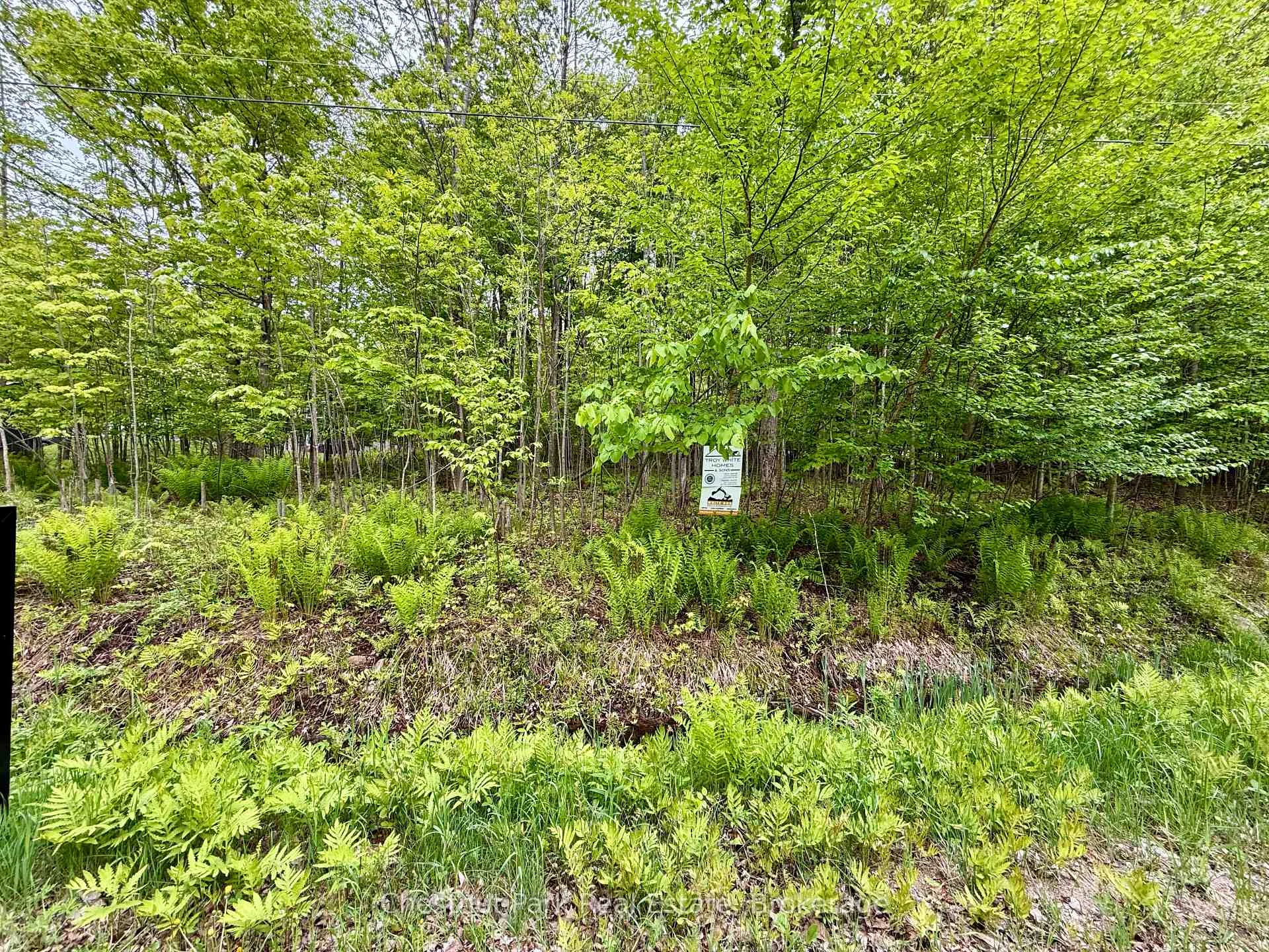 Photo 16 of 23 Maple Ridge Road, Nipissing — HOMEH