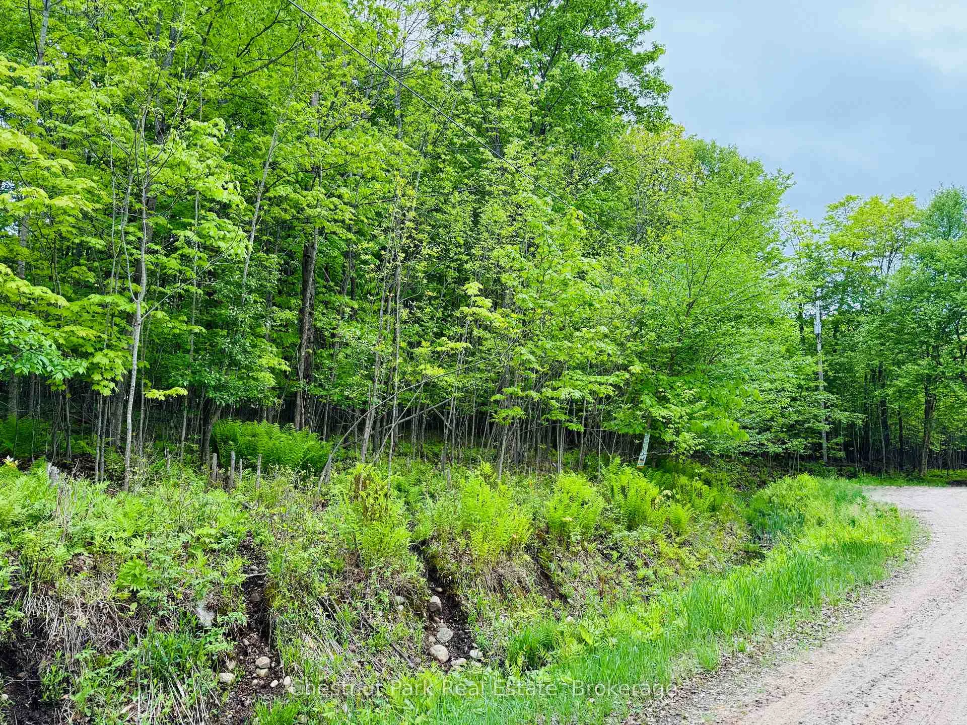 Photo 18 of 23 Maple Ridge Road, Nipissing — HOMEH