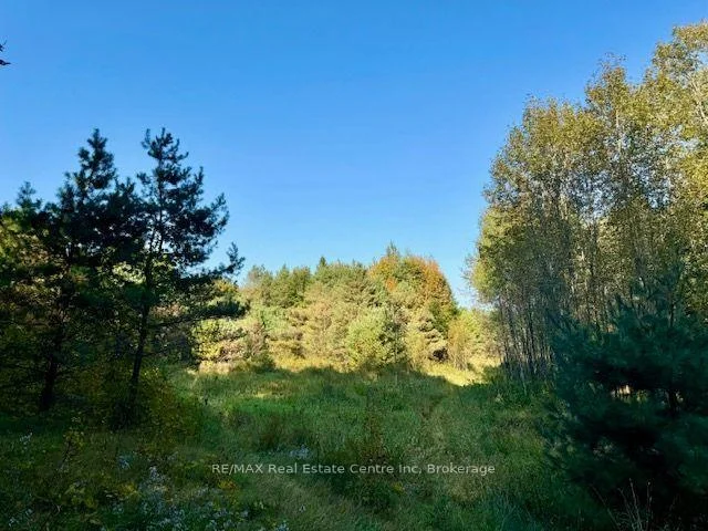 Photo 2 of Hwy 35 Road, Kawartha Lakes, Laxton/Digby/Longford — HOMEH
