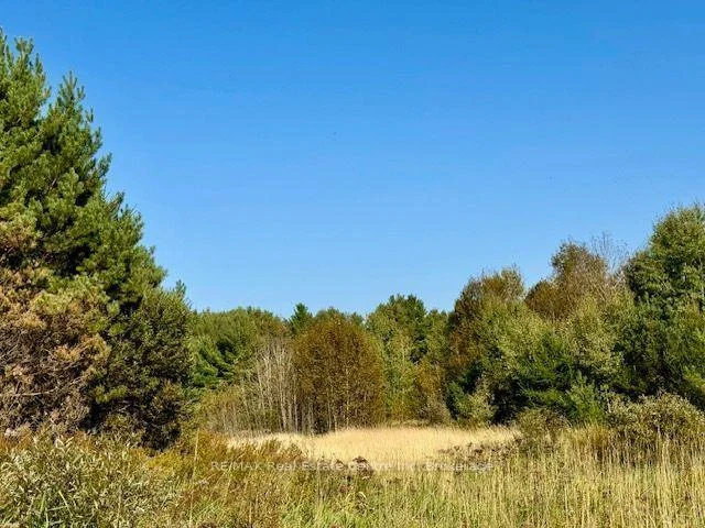 Photo 36 of Hwy 35 Road, Kawartha Lakes, Laxton/Digby/Longford — HOMEH