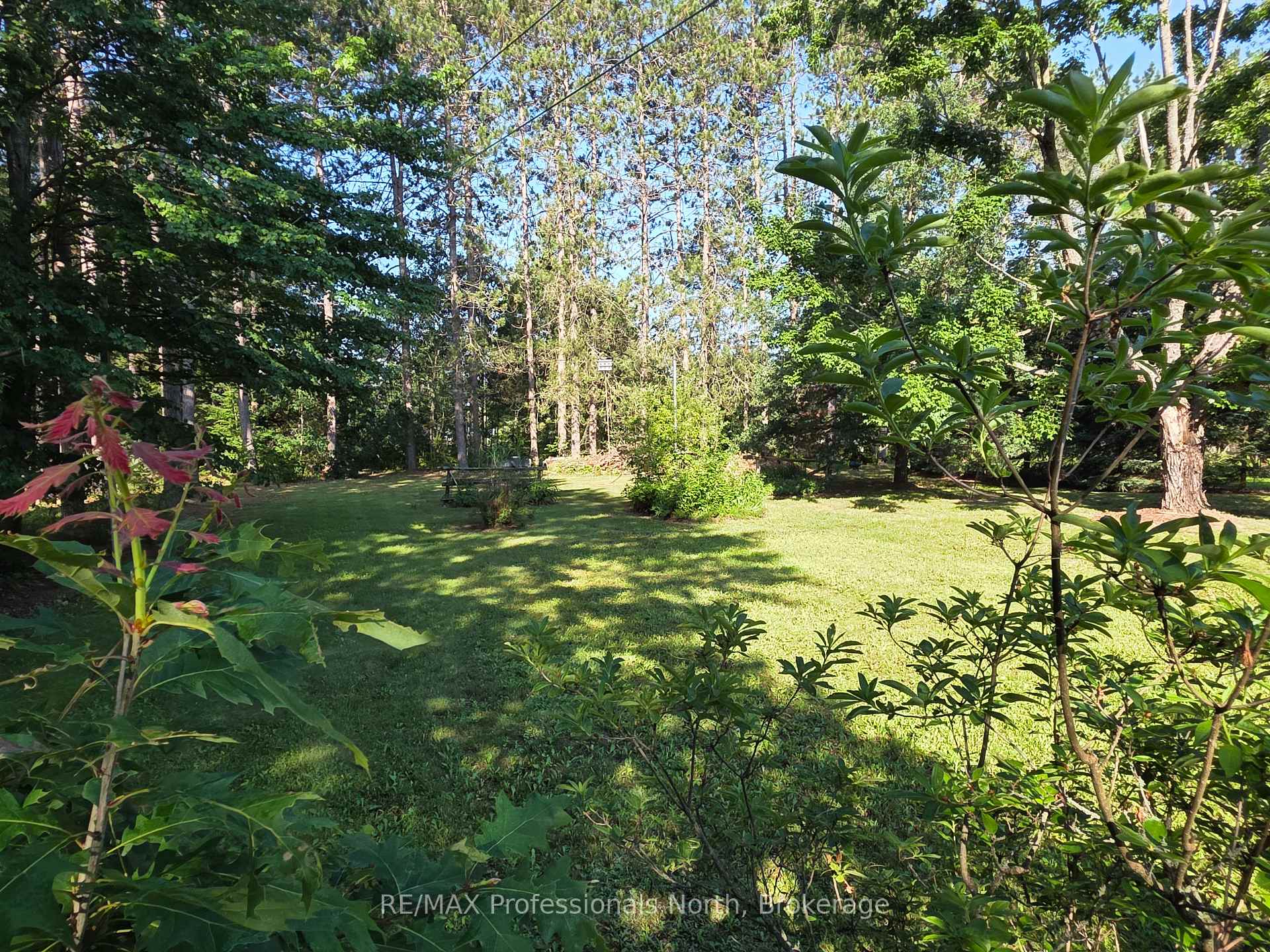 Photo 11 of 1024 Lutterworth Pines Road, Minden Hills, Lutterworth — HOMEH