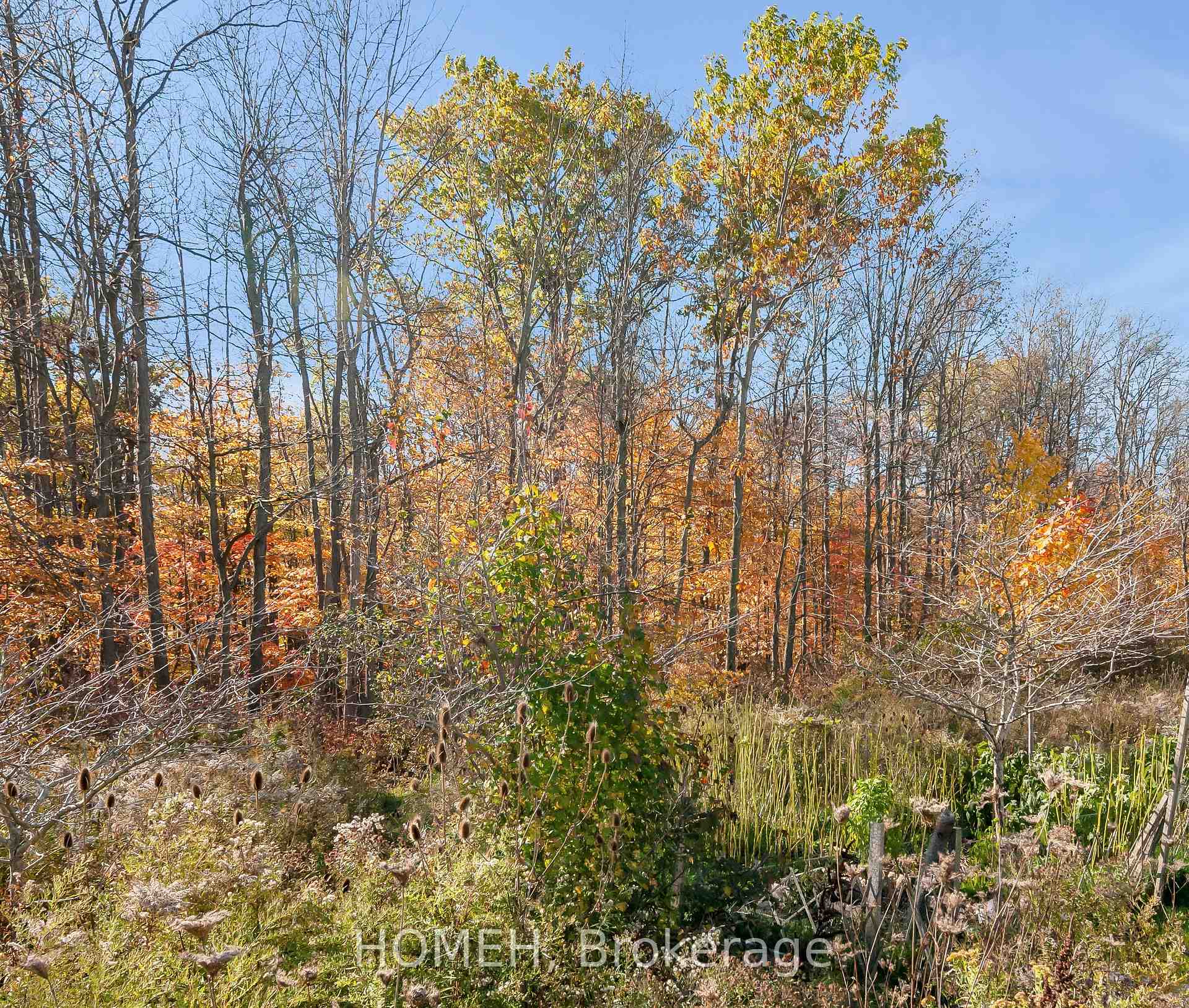 Photo 32 of 151 Kinsman Drive, Hamilton, Binbrook — HOMEH