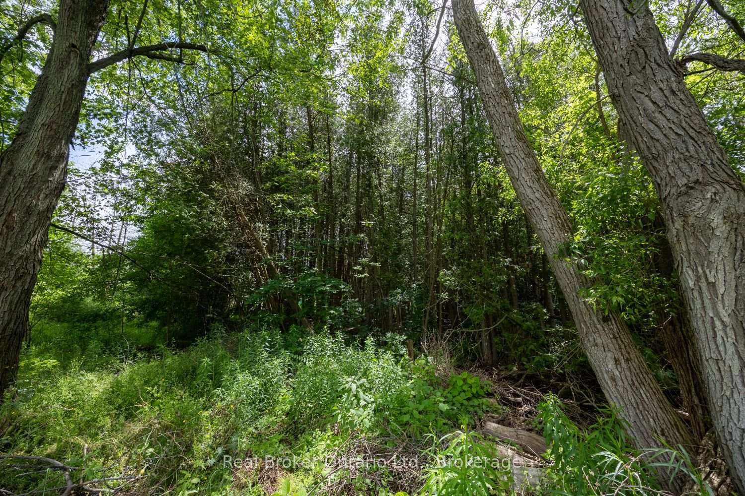 Photo 48 of 2532 Holt Road, Clarington, Rural Clarington — HOMEH