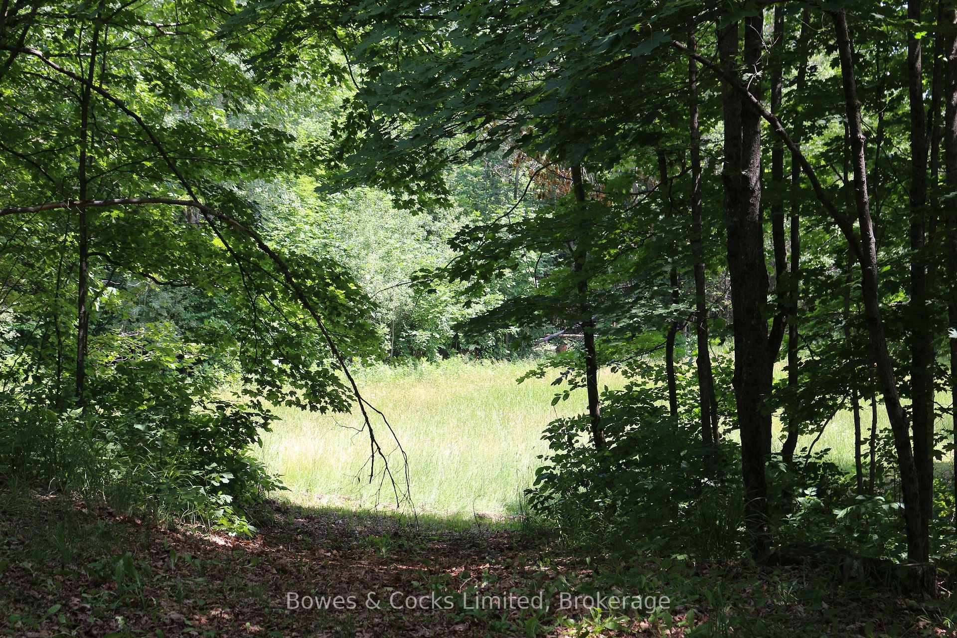 Photo 40 of 4741 Lower Faraday Road, Wollaston — HOMEH