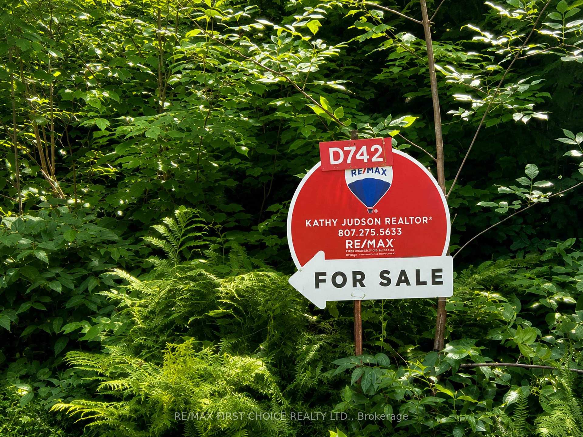 Photo 19 of D742 Dam Road, Rainy River Remote Area — HOMEH