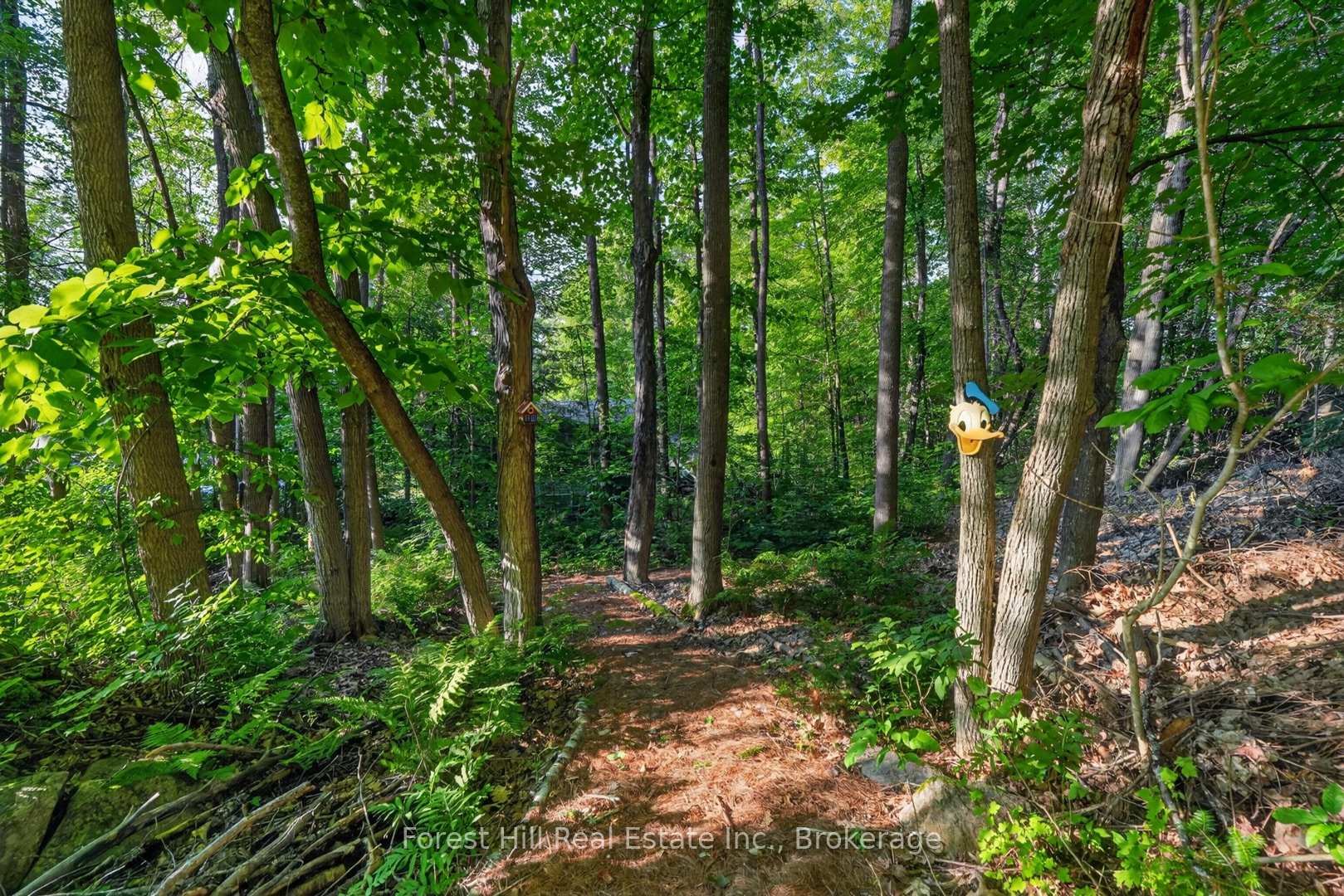 Photo 41 of 1115 Main Street, Algonquin Highlands, Sherborne — HOMEH