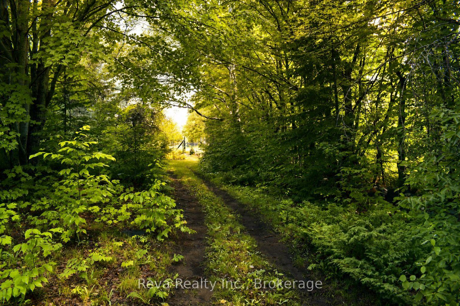 Photo 40 of 152 Hass Road, Hastings Highlands, Wicklow Ward — HOMEH