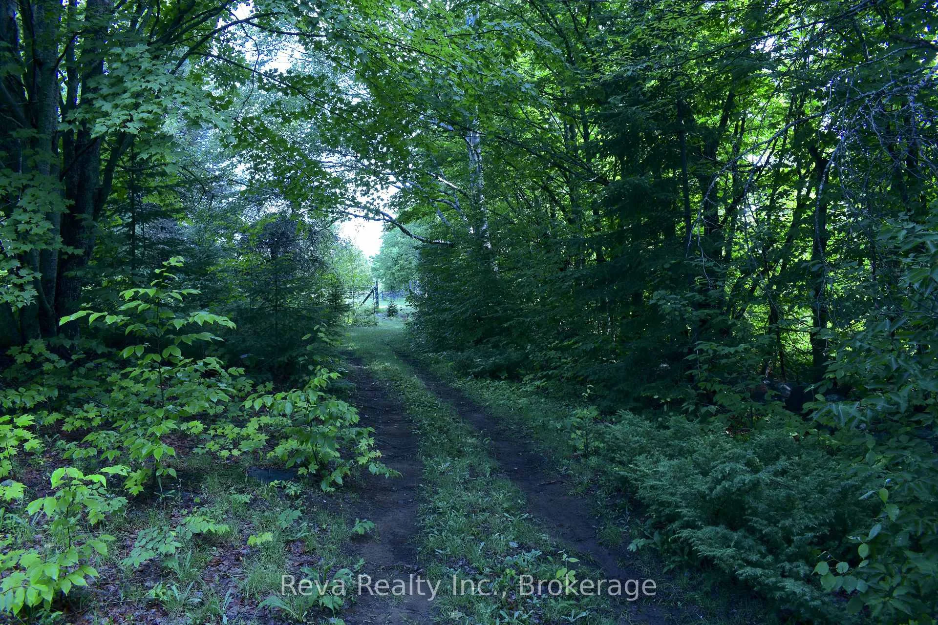 Photo 43 of 152 Hass Road, Hastings Highlands, Wicklow Ward — HOMEH