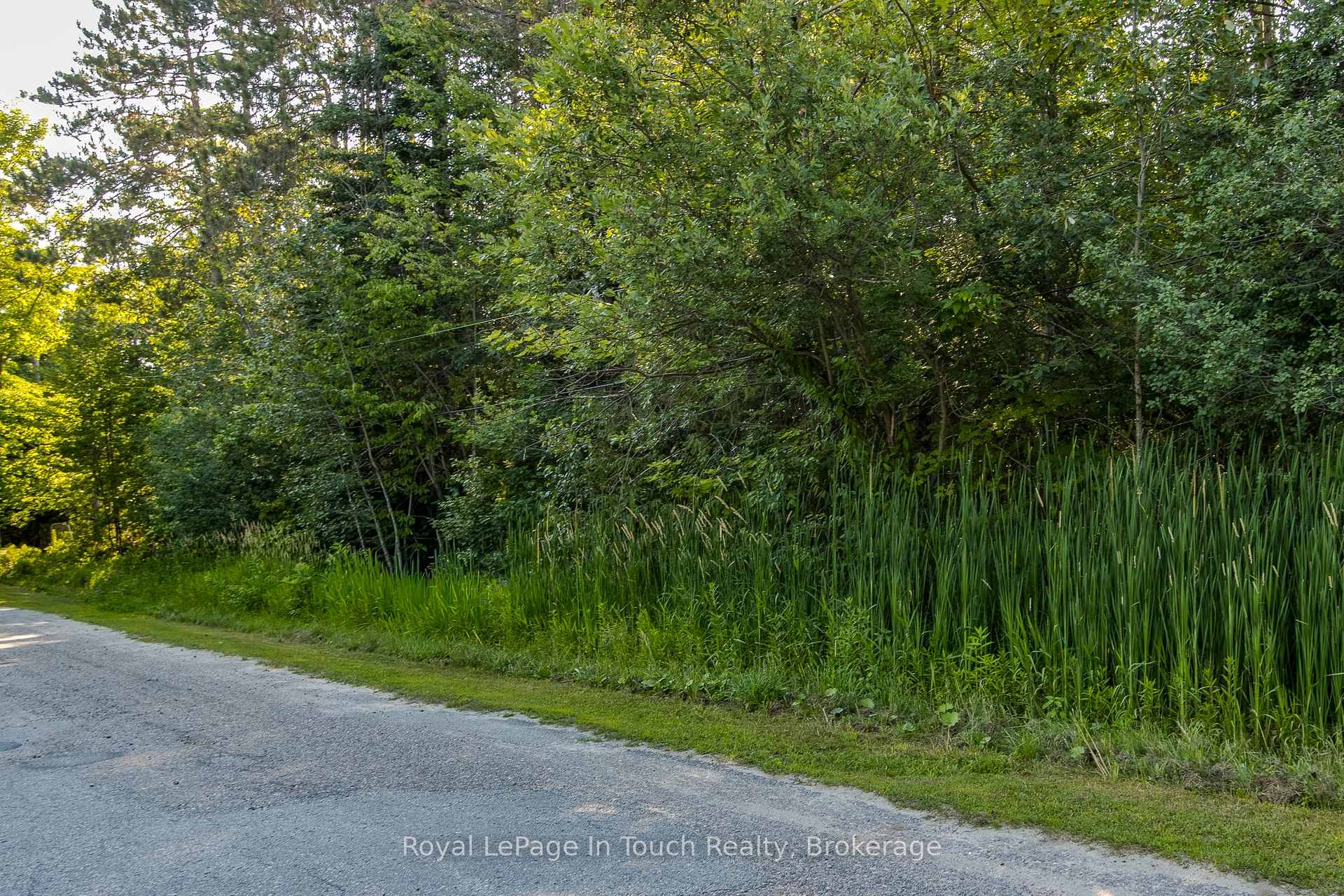 Photo 3 of LT 10 Peter Avenue, Tiny, Rural Tiny — HOMEH