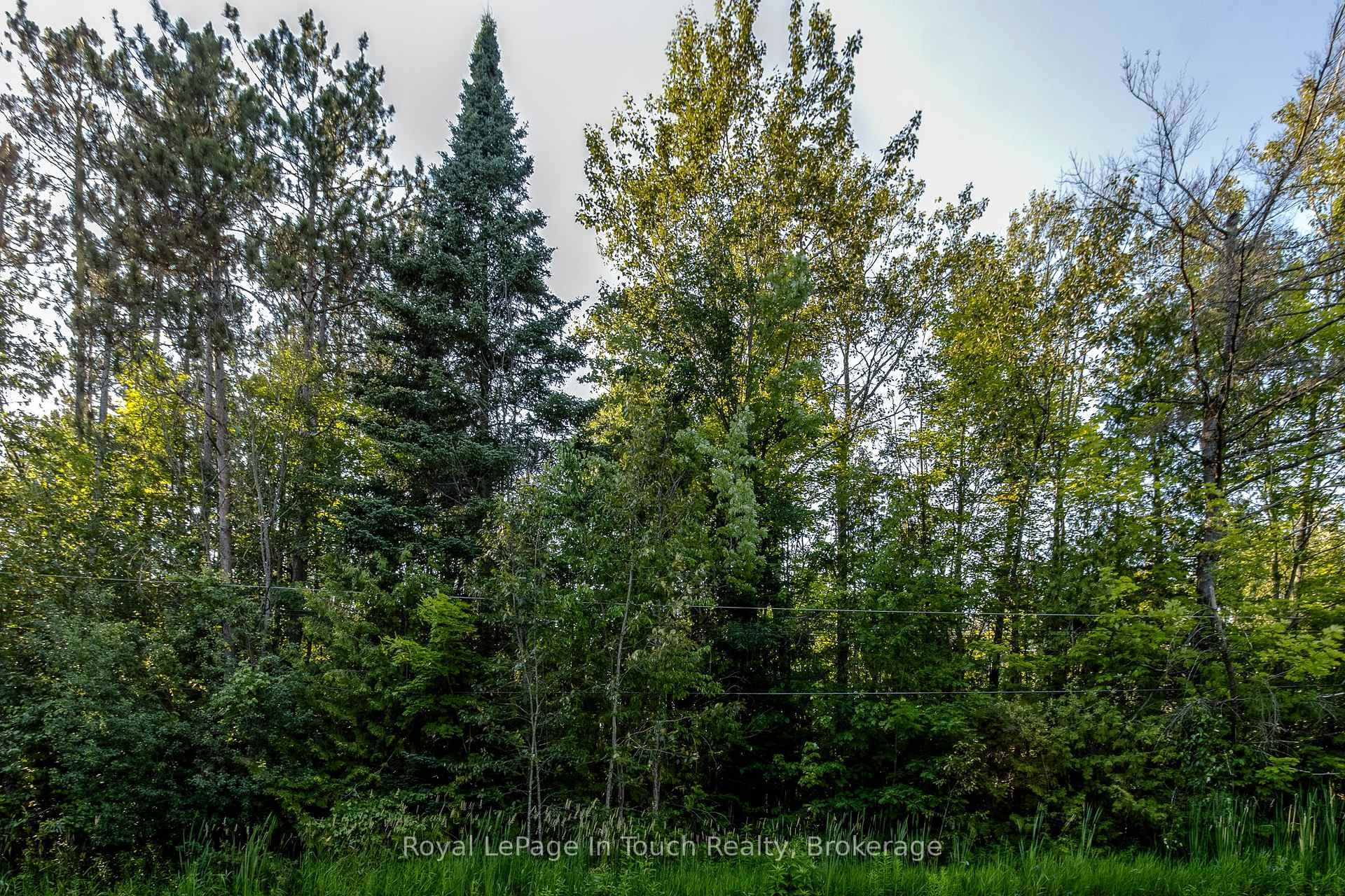 Photo 9 of LT 10 Peter Avenue, Tiny, Rural Tiny — HOMEH