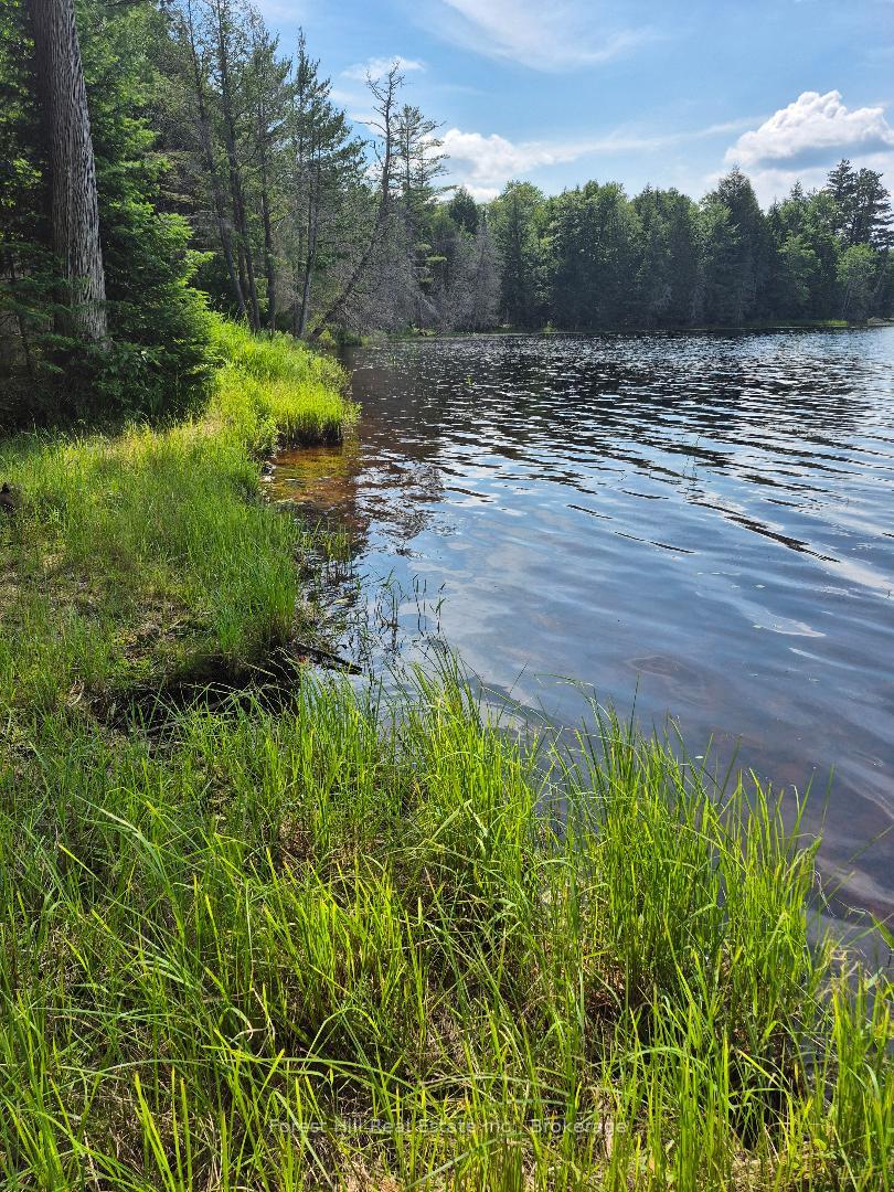 Photo 4 of 230 Baker Road S, Magnetawan — HOMEH