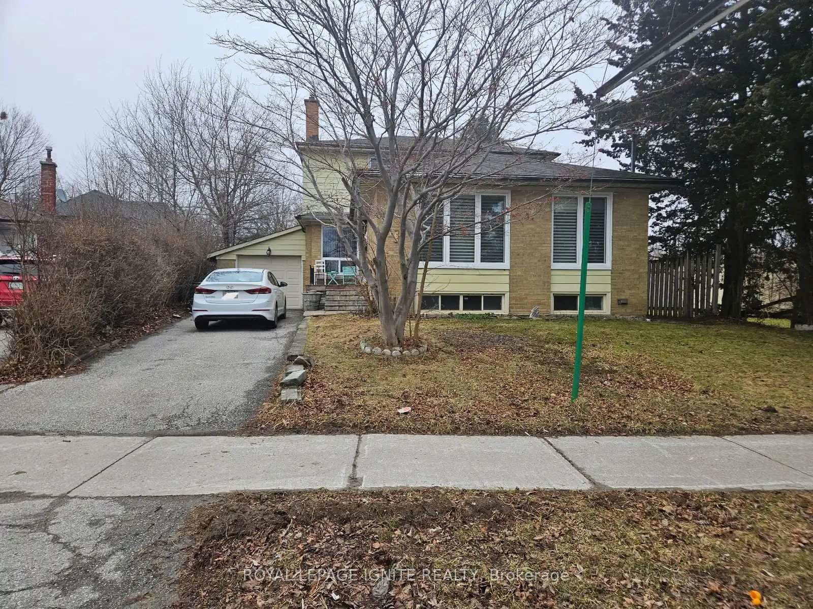 Front of Unit Bsmnt, 31 Benfrisco Crescent