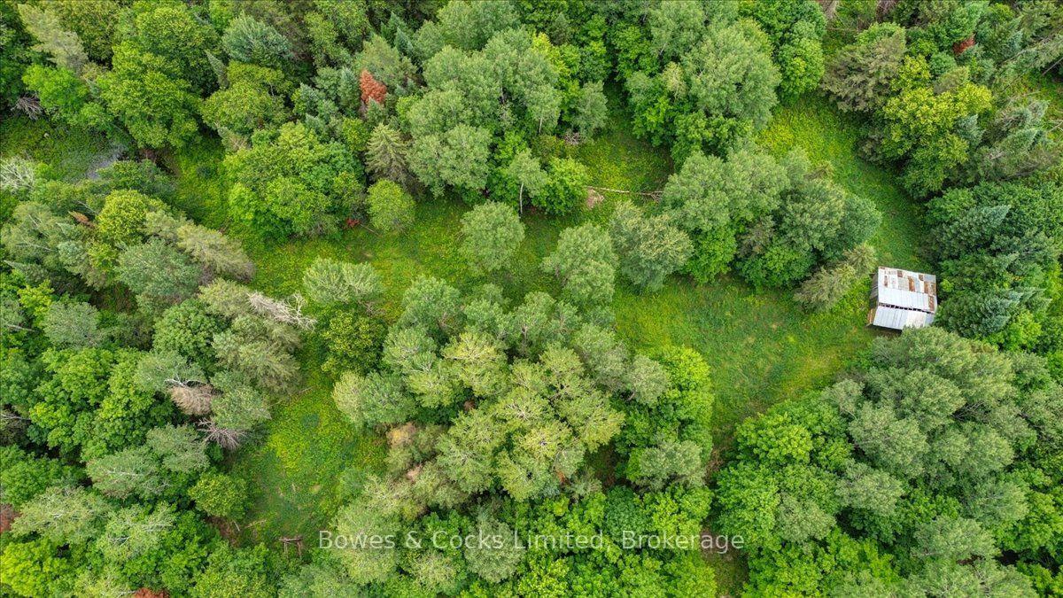 Photo 43 of 161 & 262 Colbourne Road, Bancroft, Dungannon Ward — HOMEH