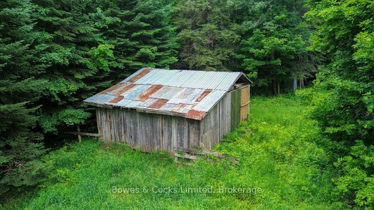 Photo 46 of 161 & 262 Colbourne Road, Bancroft, Dungannon Ward — HOMEH