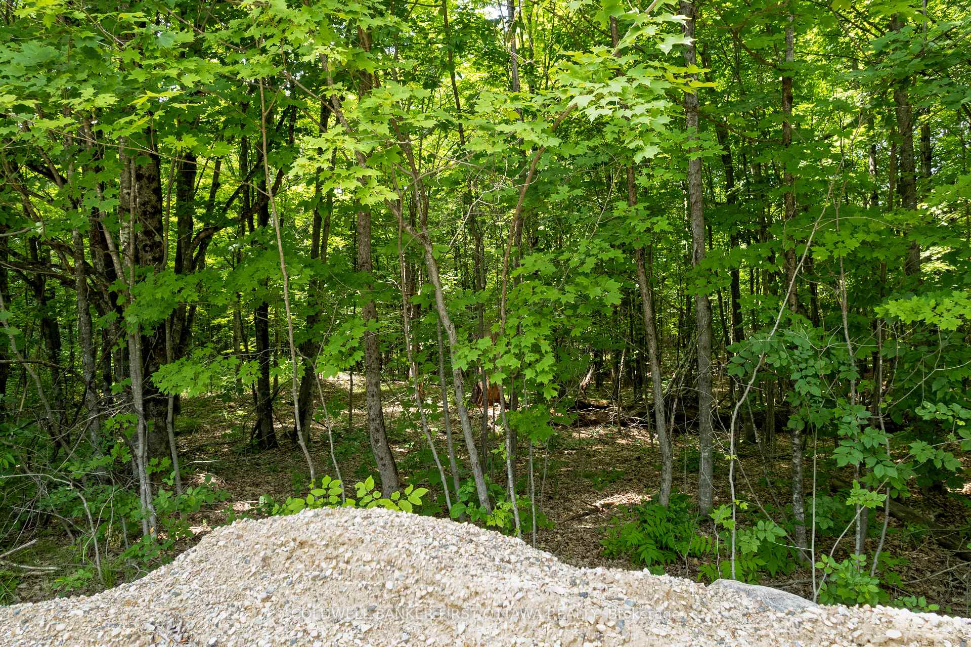 Photo 16 of 338 Ennis Road, Tay Valley, Bathurst/Burgess & Sherbrooke (Bathurst) Twp — HOMEH