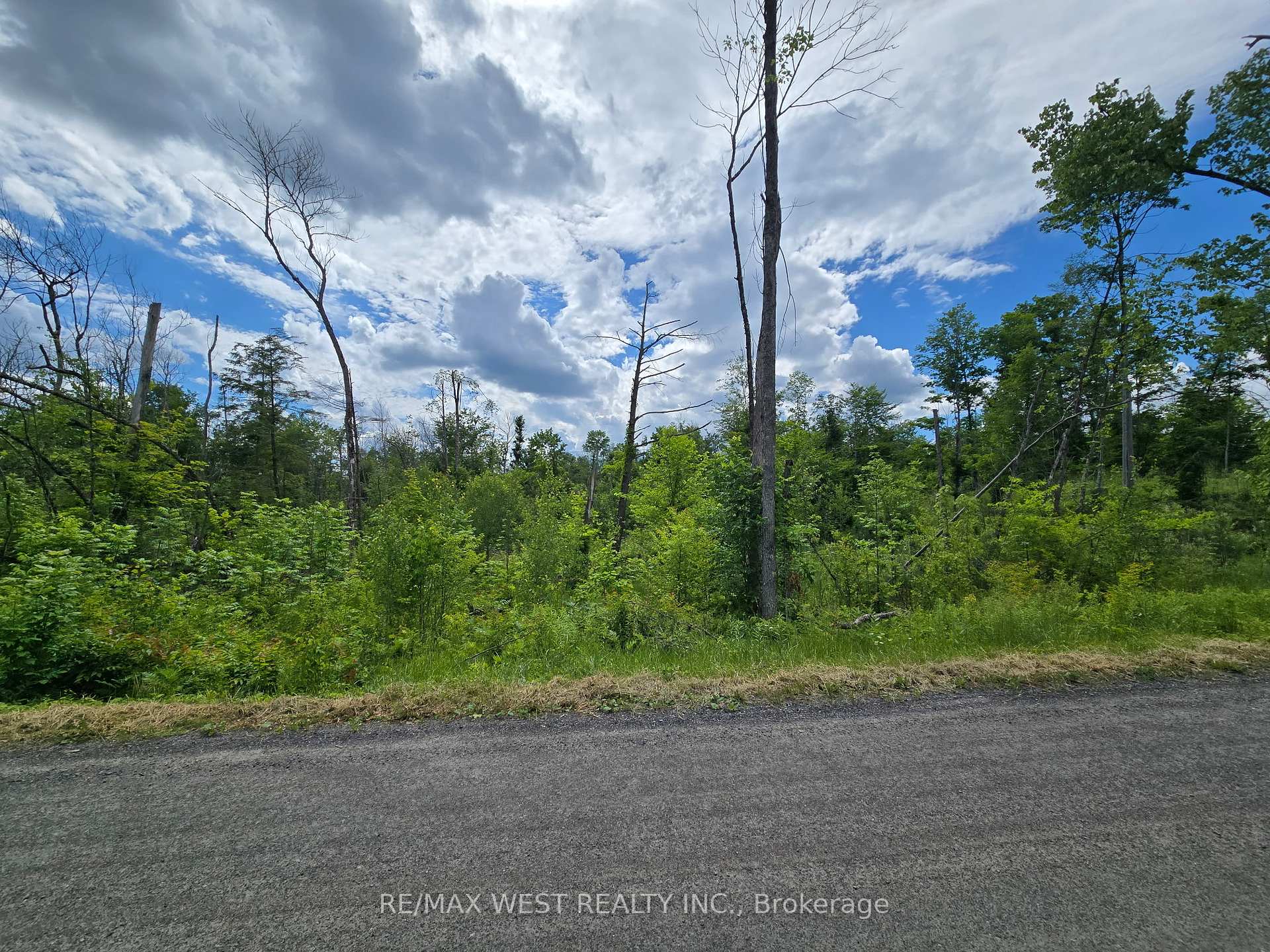 Photo 5 of 507 Black River Road, Tweed, Elzevir (Twp) — HOMEH