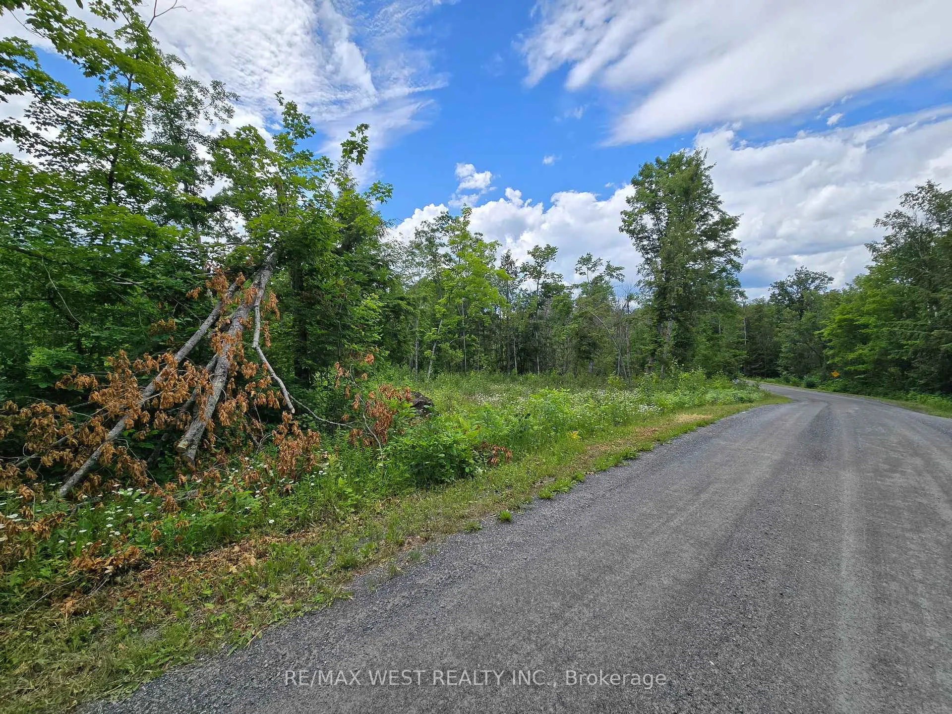 Photo 7 of 507 Black River Road, Tweed, Elzevir (Twp) — HOMEH