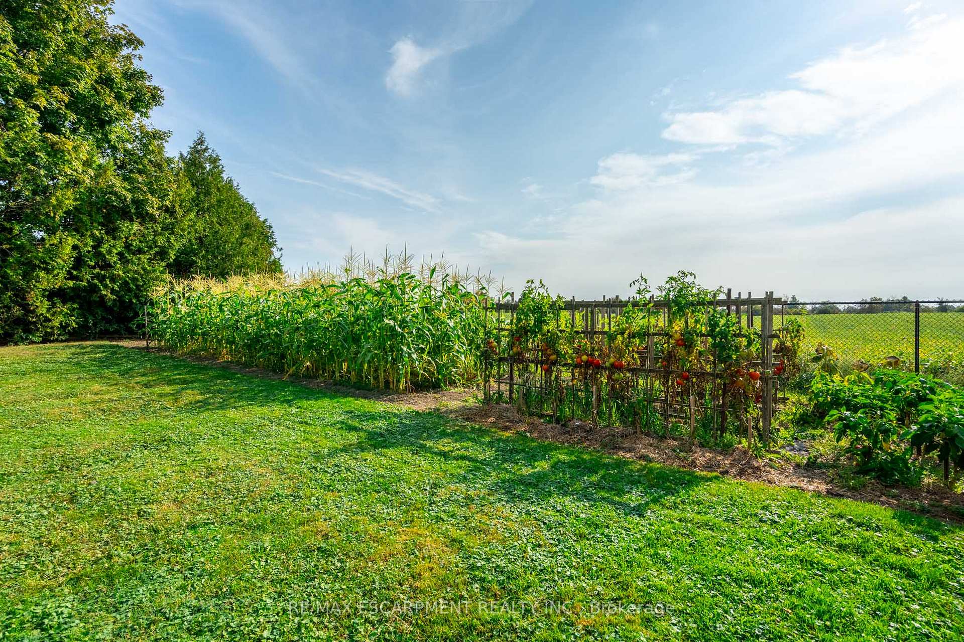 Photo 83 of 515 Trinity Church Road, Hamilton, Rural Glanbrook — HOMEH