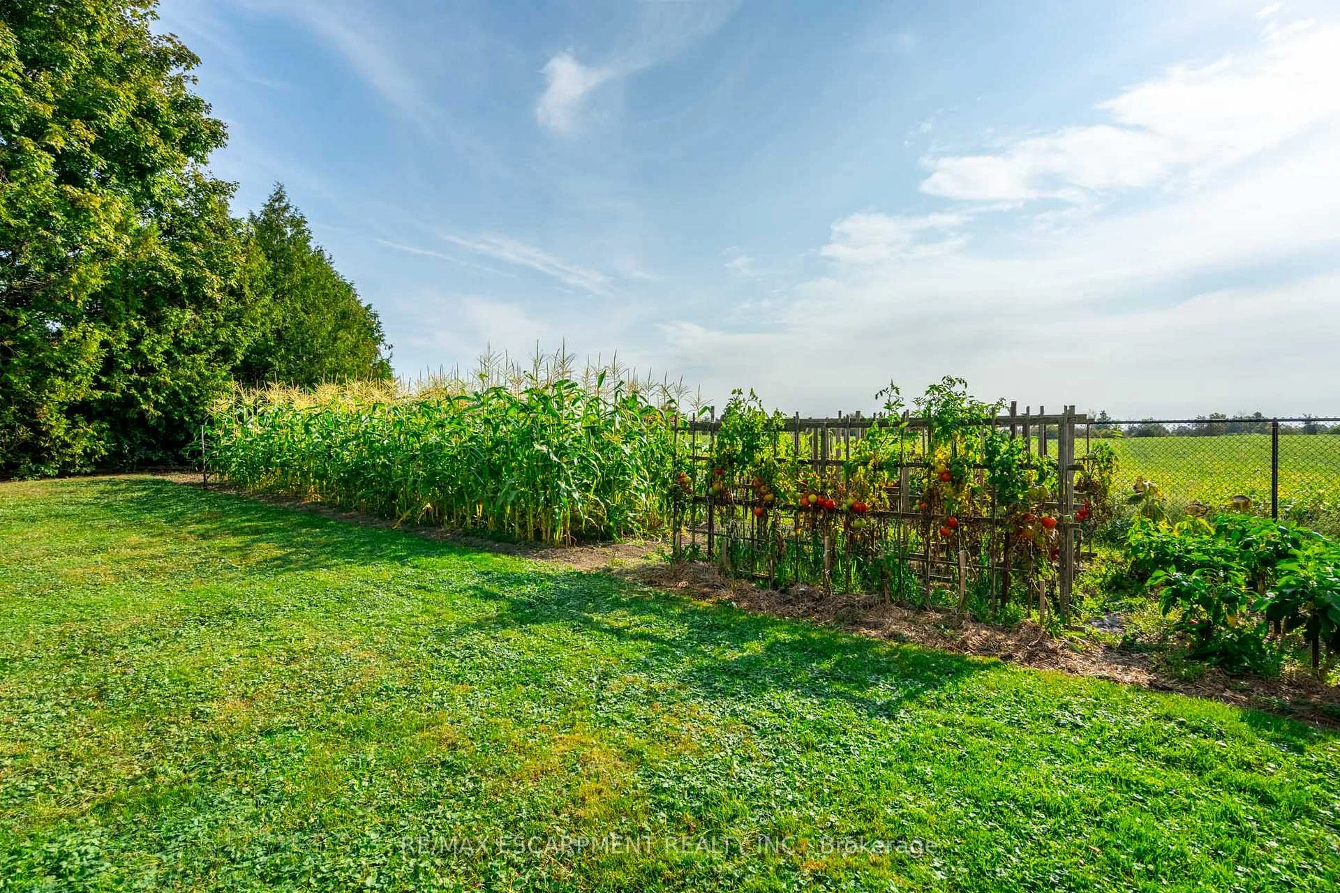 Photo 80 of 515 Trinity Church Road, Hamilton, Rural Glanbrook — HOMEH