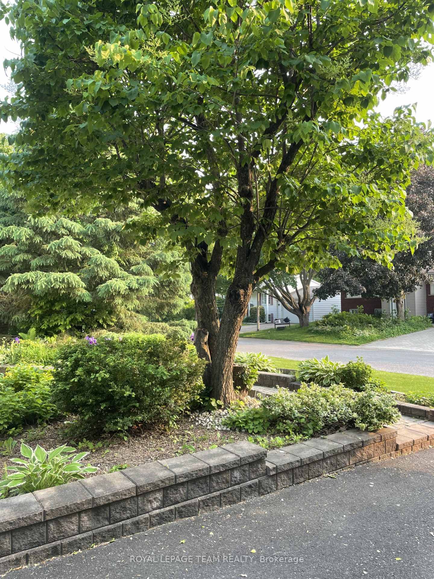 Photo 25 of 30 Juniper Court, Ottawa, Borden Farm/Stewart Farm/Carleton Heights/Parkwood Hills — HOMEH