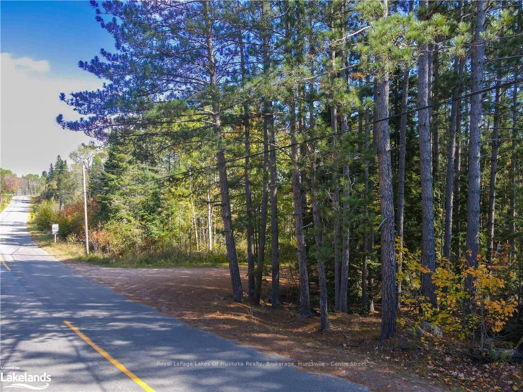 Photo 7 of Hwy 518 W, McMurrich/Monteith, Bear Lake — HOMEH