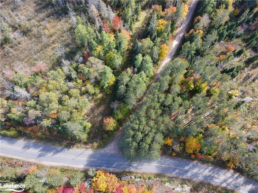 Photo 8 of Hwy 518 W, McMurrich/Monteith, Bear Lake — HOMEH