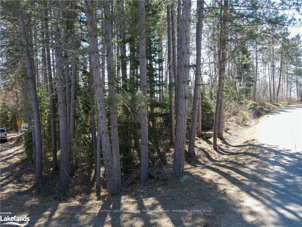 Photo 20 of Hwy 518 W, McMurrich/Monteith, Bear Lake — HOMEH
