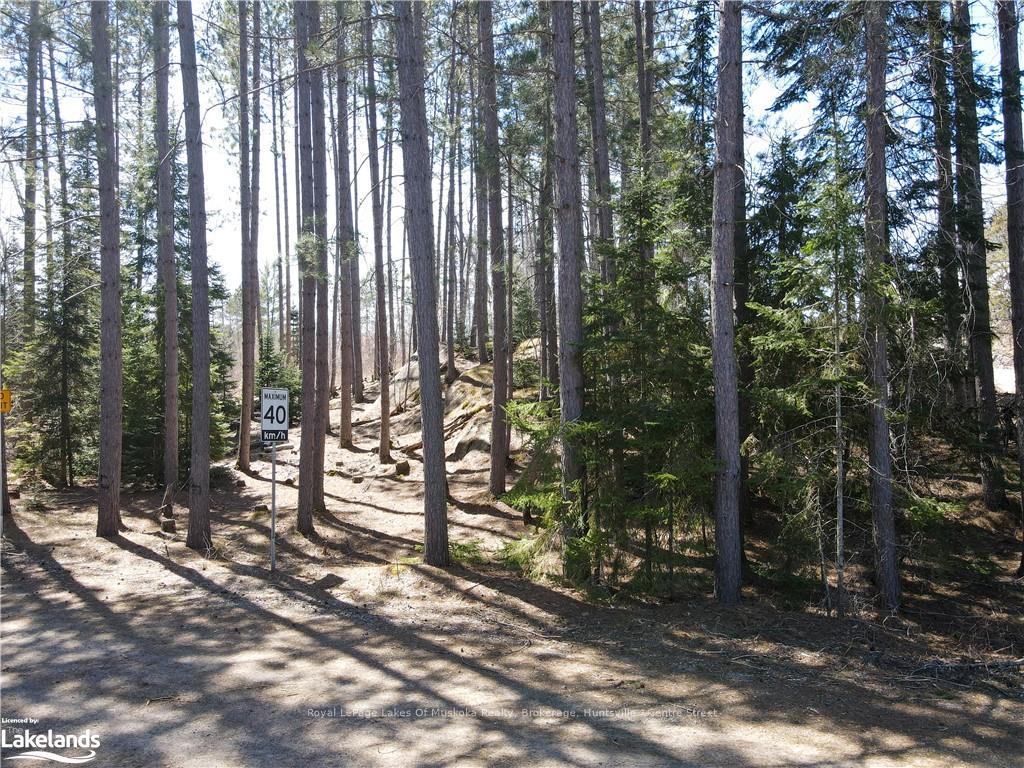 Photo 21 of Hwy 518 W, McMurrich/Monteith, Bear Lake — HOMEH